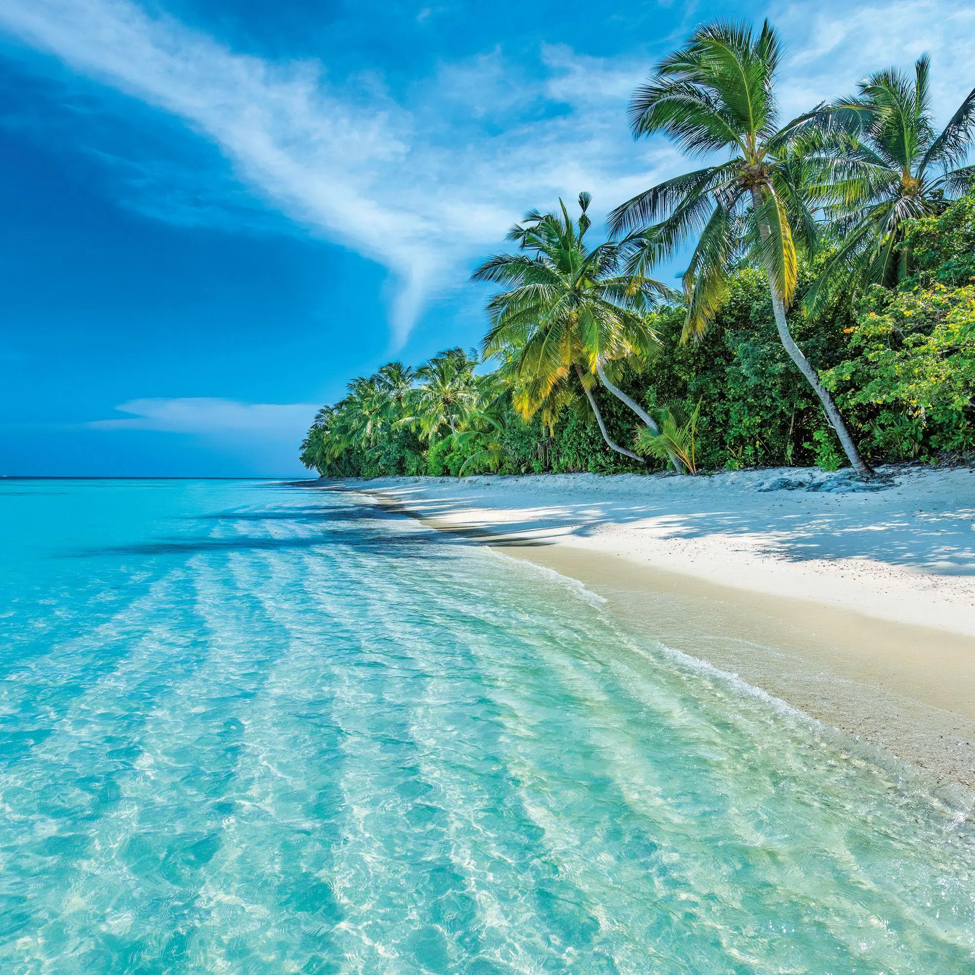 Bild: 9783959297301 | Strand und Meer / Beach and Sea 2027 | Kalender 2027 | Kalender | 2027