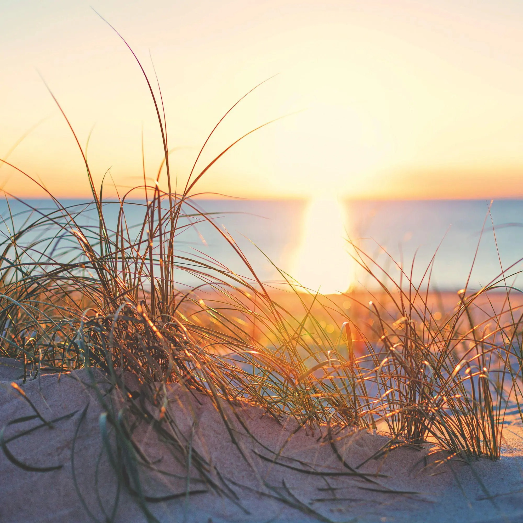 Bild: 9783959297301 | Strand und Meer / Beach and Sea 2027 | Kalender 2027 | Kalender | 2027