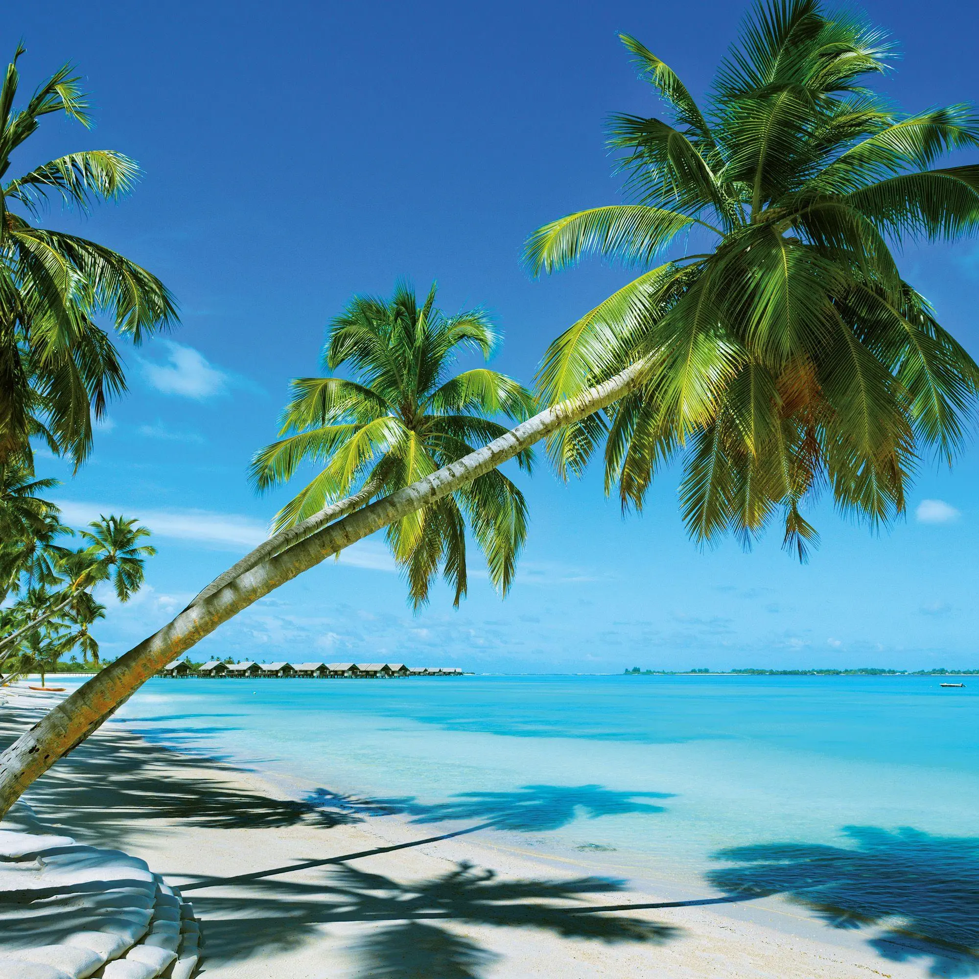 Bild: 9783959297301 | Strand und Meer / Beach and Sea 2027 | Kalender 2027 | Kalender | 2027