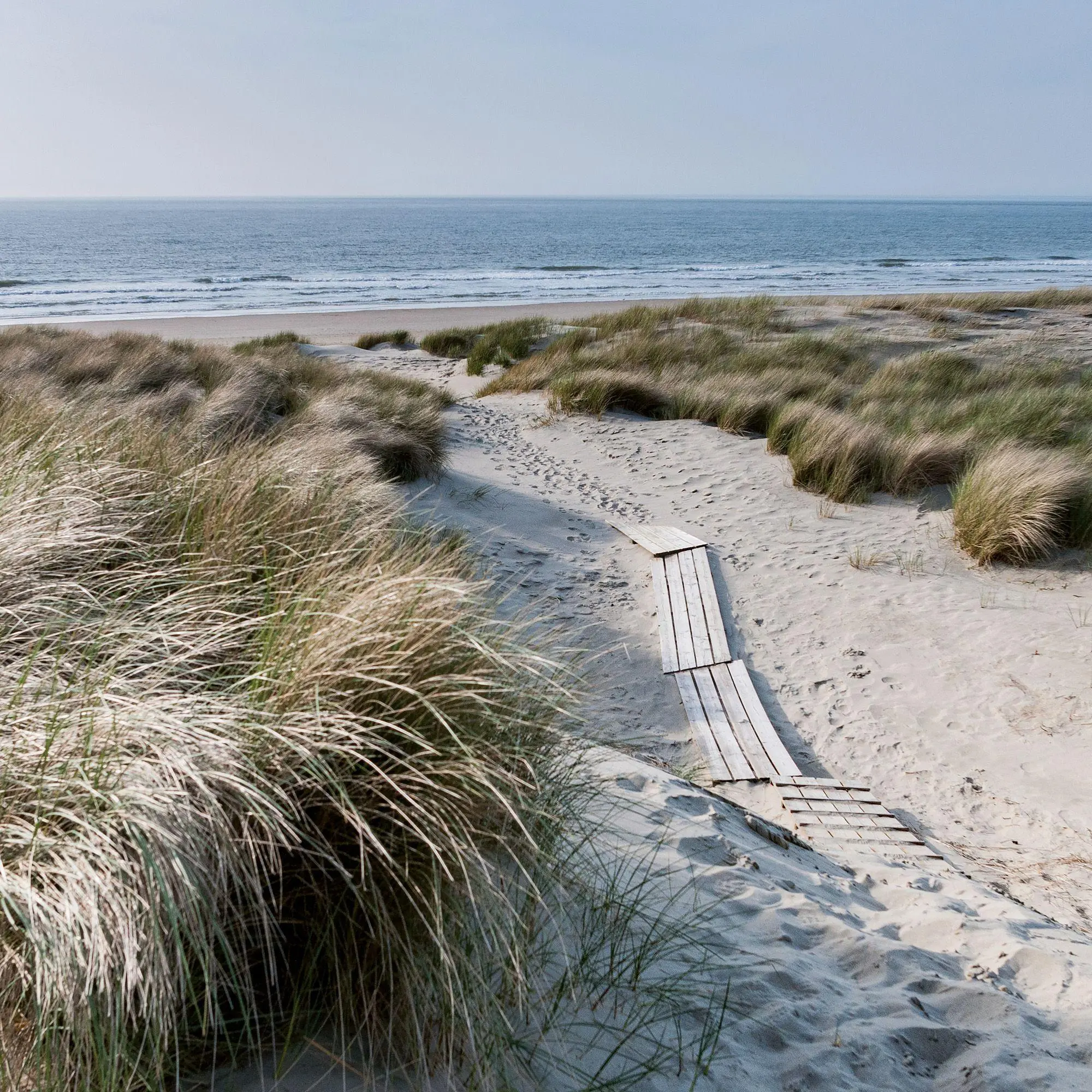 Bild: 9783959297301 | Strand und Meer / Beach and Sea 2027 | Kalender 2027 | Kalender | 2027