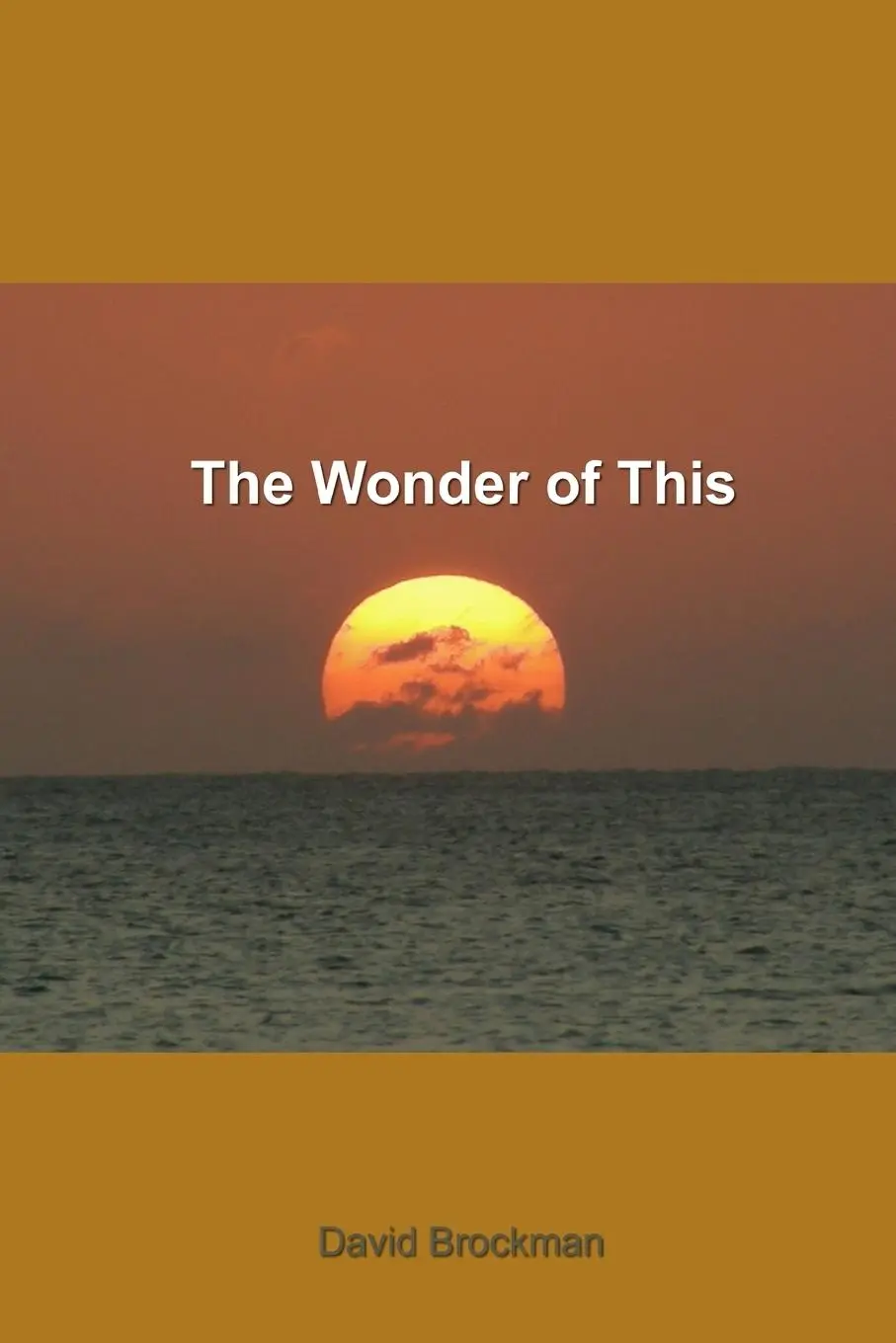 Cover: 9781847997401 | the wonder of this | David Brockman | Taschenbuch | Englisch | 2007