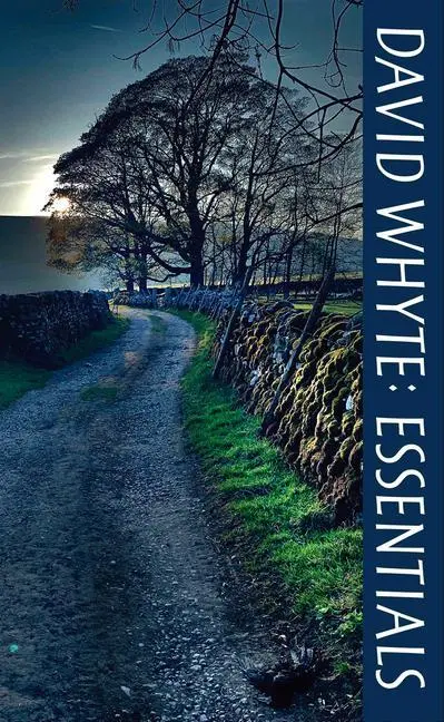 Cover: 9781932887501 | David Whyte Essentials | David Whyte | Taschenbuch | Englisch | 2019