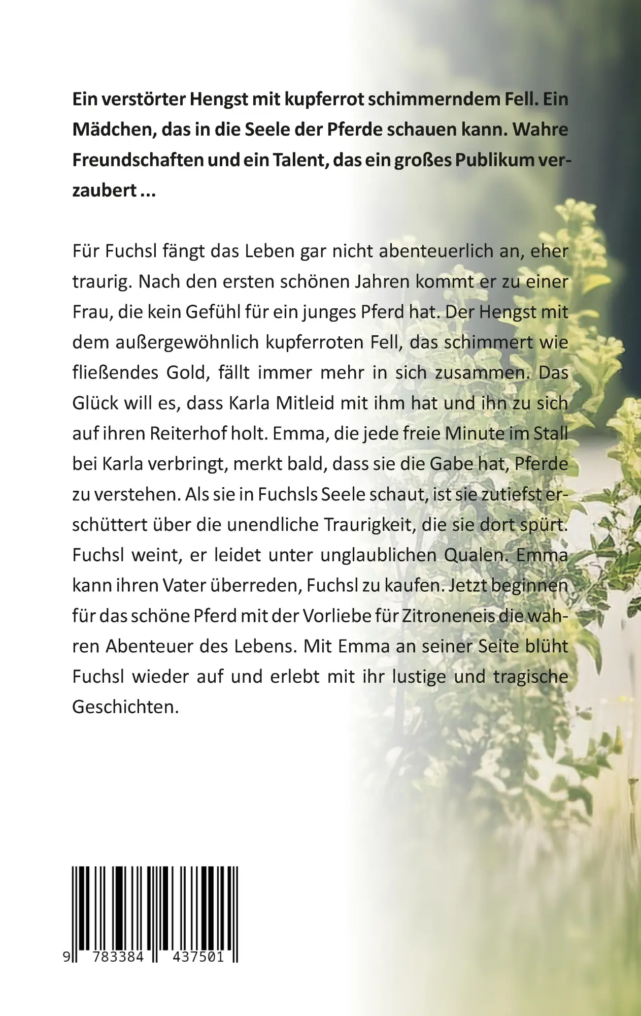 Rückseite: 9783384437501 | Fuchsl | Ein Pferdeleben voller Abenteuer | Martina Mayer | Buch