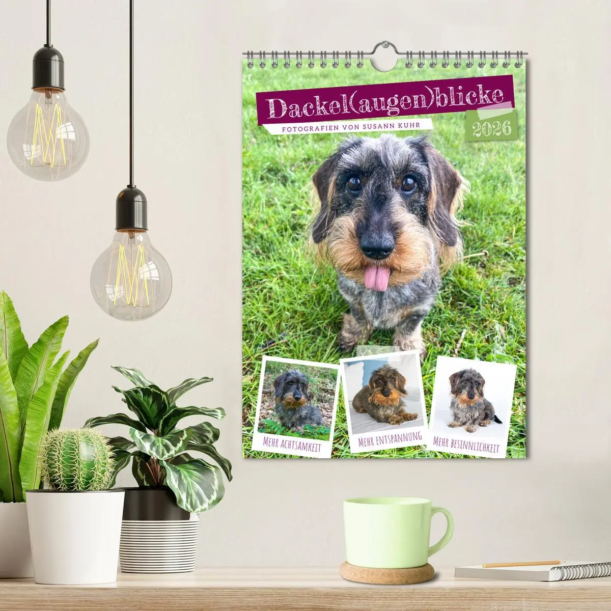 Bild: 9783516337501 | Dackel(augen)blicke (Wandkalender 2026 DIN A4 hoch), CALVENDO...