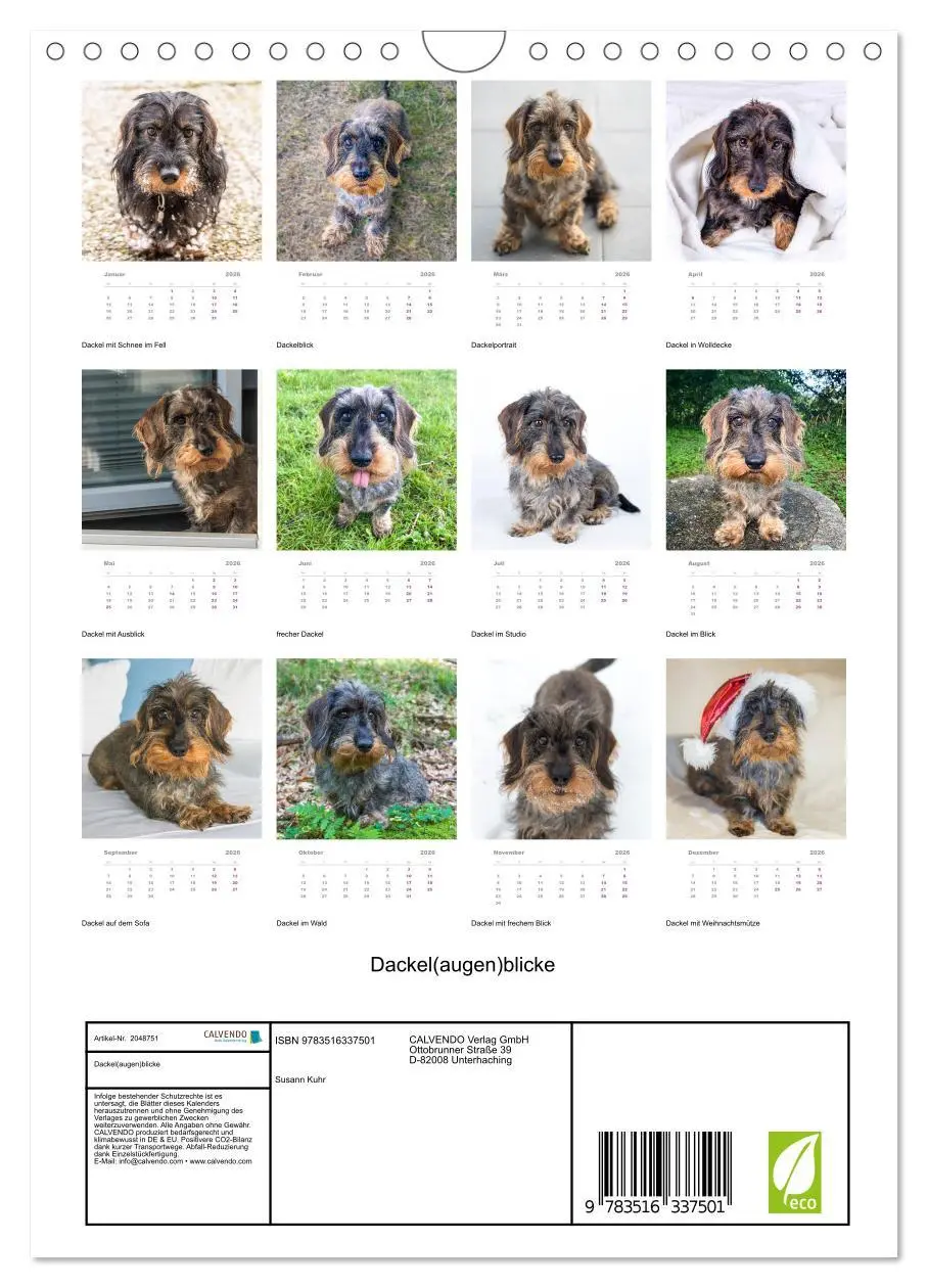 Bild: 9783516337501 | Dackel(augen)blicke (Wandkalender 2026 DIN A4 hoch), CALVENDO...
