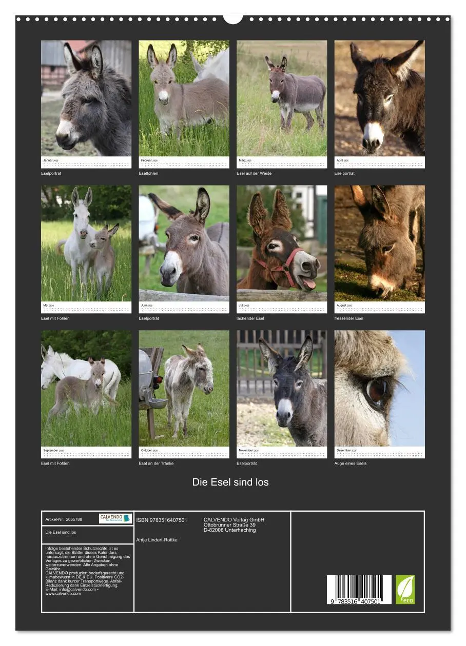 Bild: 9783516407501 | Die Esel sind los (hochwertiger Premium Wandkalender 2026 DIN A2...