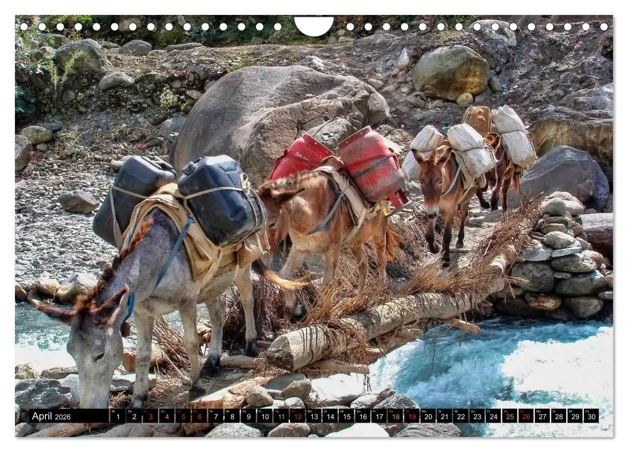 Bild: 9783516017601 | Nepal - das Dach der Welt (Wandkalender 2026 DIN A4 quer), CALVENDO...