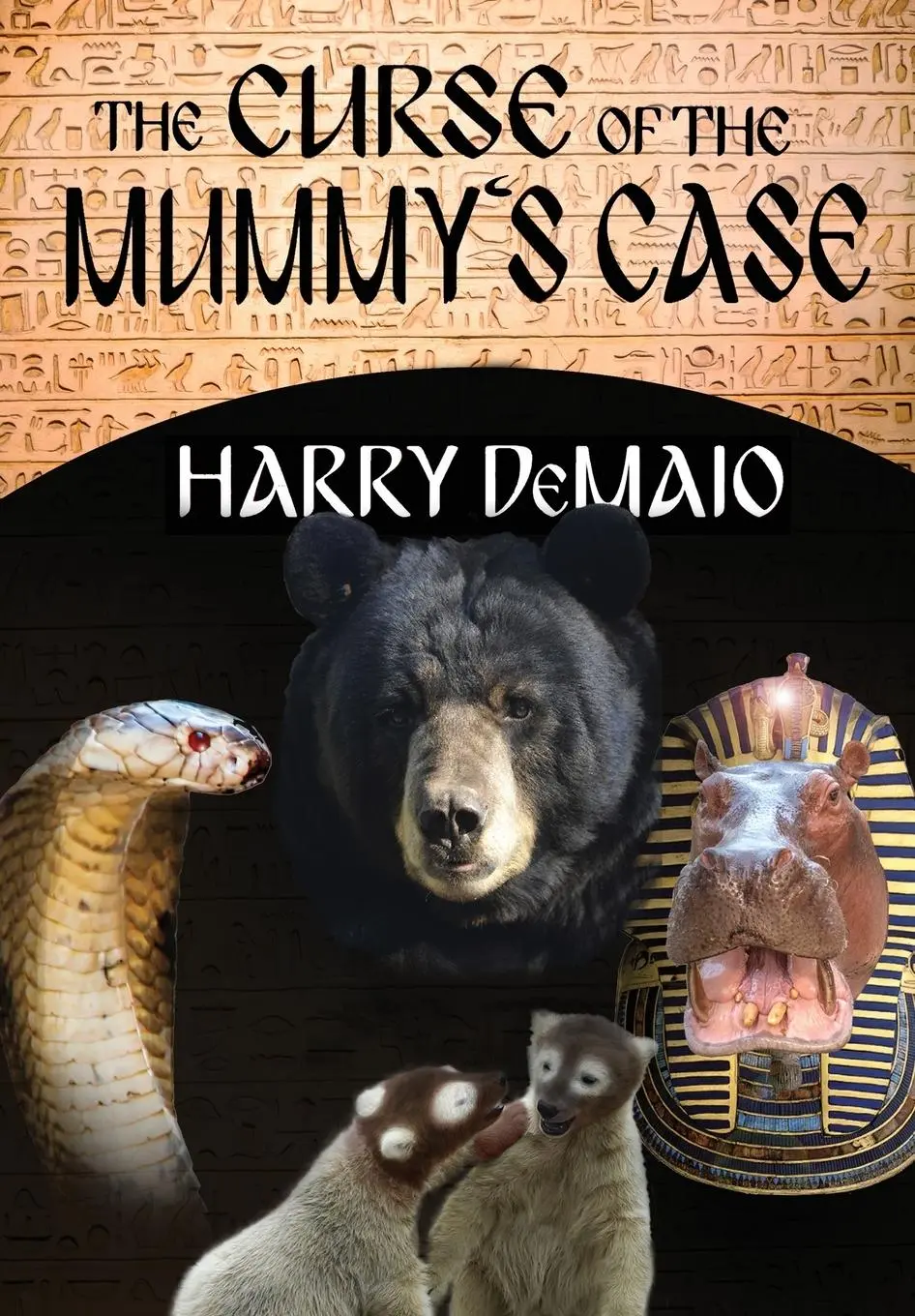 Cover: 9781780927701 | The Curse of the Mummy's Case (Octavius Bear Book 5) | Harry Demaio