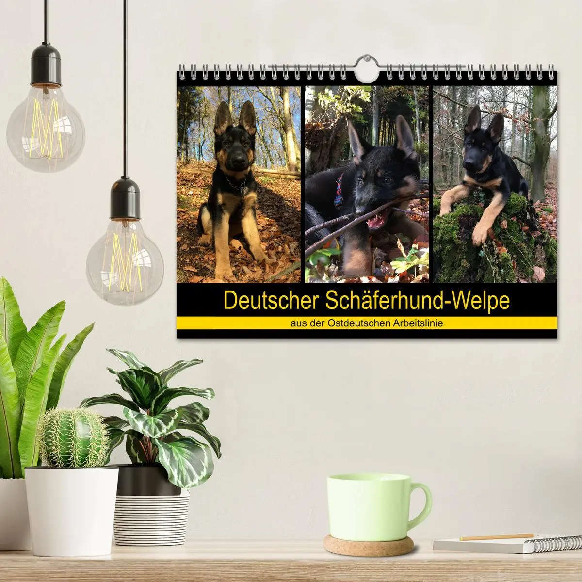 Bild: 9783435377701 | Deutscher Schäferhund-Welpe - aus der Ostdeutschen Arbeitslinie...