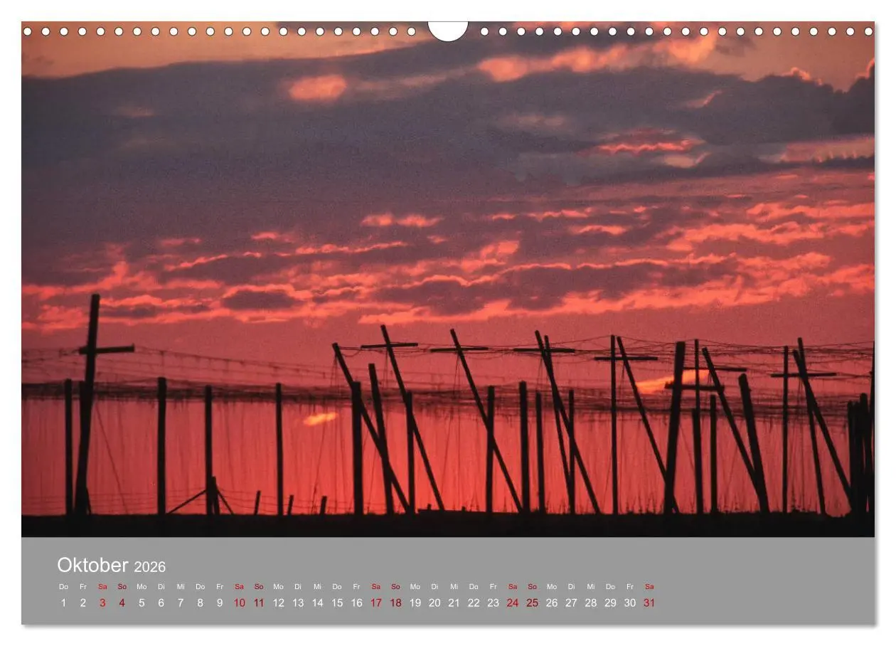 Bild: 9783457917701 | Hallertau (Wandkalender 2026 DIN A3 quer), CALVENDO Monatskalender