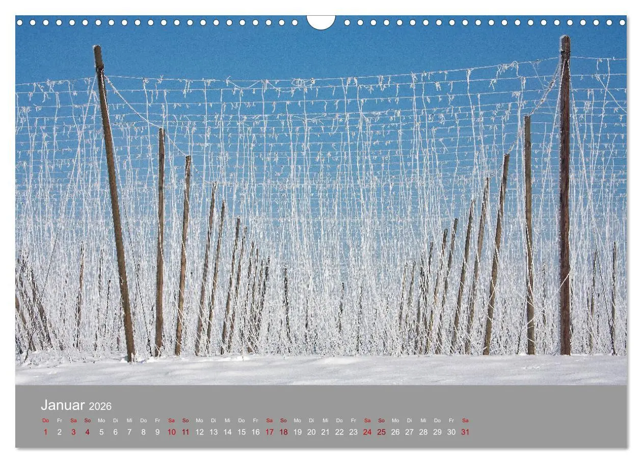 Bild: 9783457917701 | Hallertau (Wandkalender 2026 DIN A3 quer), CALVENDO Monatskalender