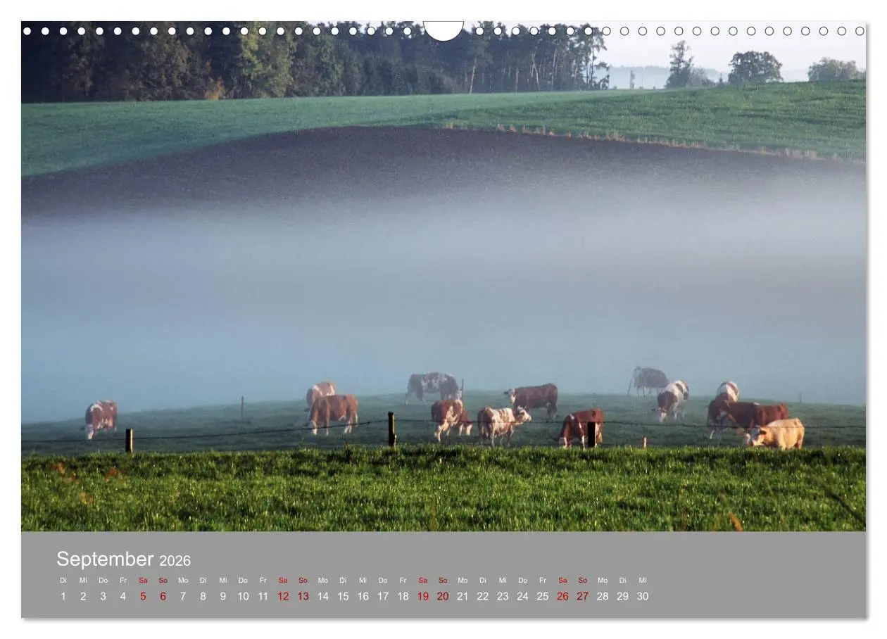 Bild: 9783457917701 | Hallertau (Wandkalender 2026 DIN A3 quer), CALVENDO Monatskalender