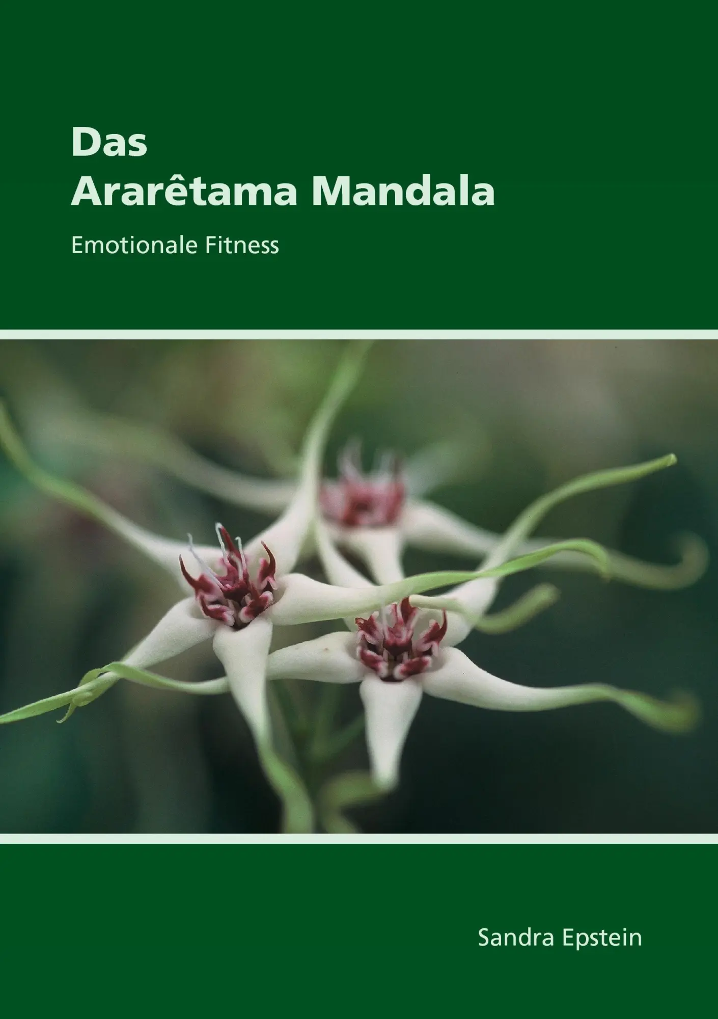 Cover: 9783848207701 | Das Araretama Mandala | Emotionale Fitness | Sandra Epstein | Buch