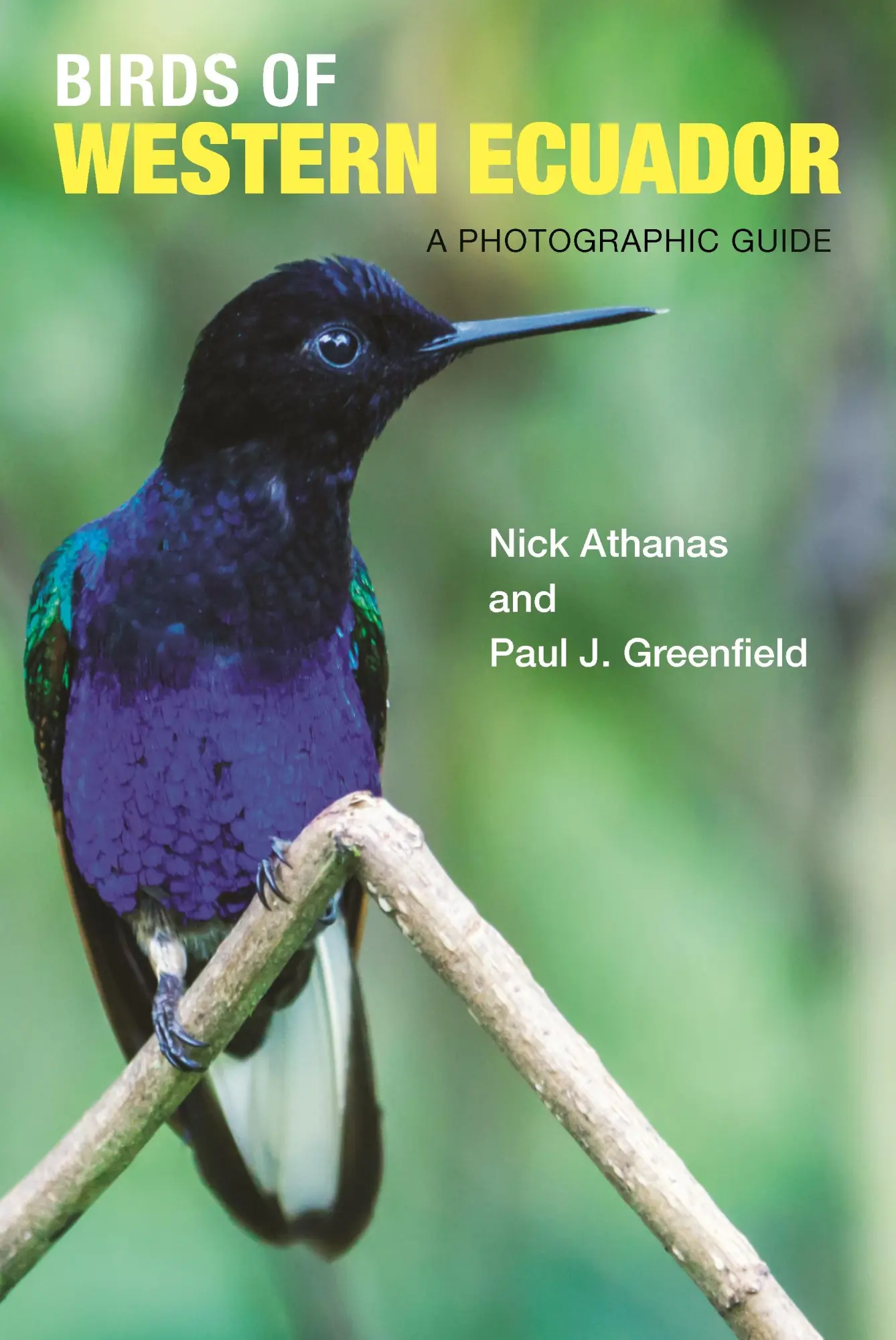 Cover: 9780691157801 | Birds of Western Ecuador | A Photographic Guide | Nick Athanas (u. a.)