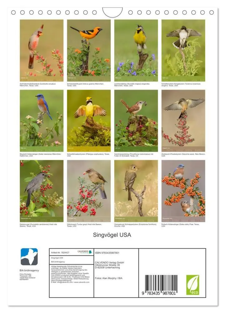 Bild: 9783435987801 | Singvögel USA (Wandkalender 2025 DIN A4 hoch), CALVENDO Monatskalender
