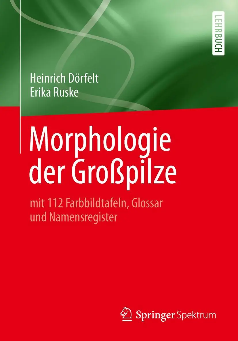 Cover: 9783642417801 | Morphologie der Großpilze | Heinrich Dörfelt (u. a.) | Taschenbuch Cover: 9783642417801 | Morphologie der Großpilze | Heinrich Dörfelt (u. a.) | Taschenbuch