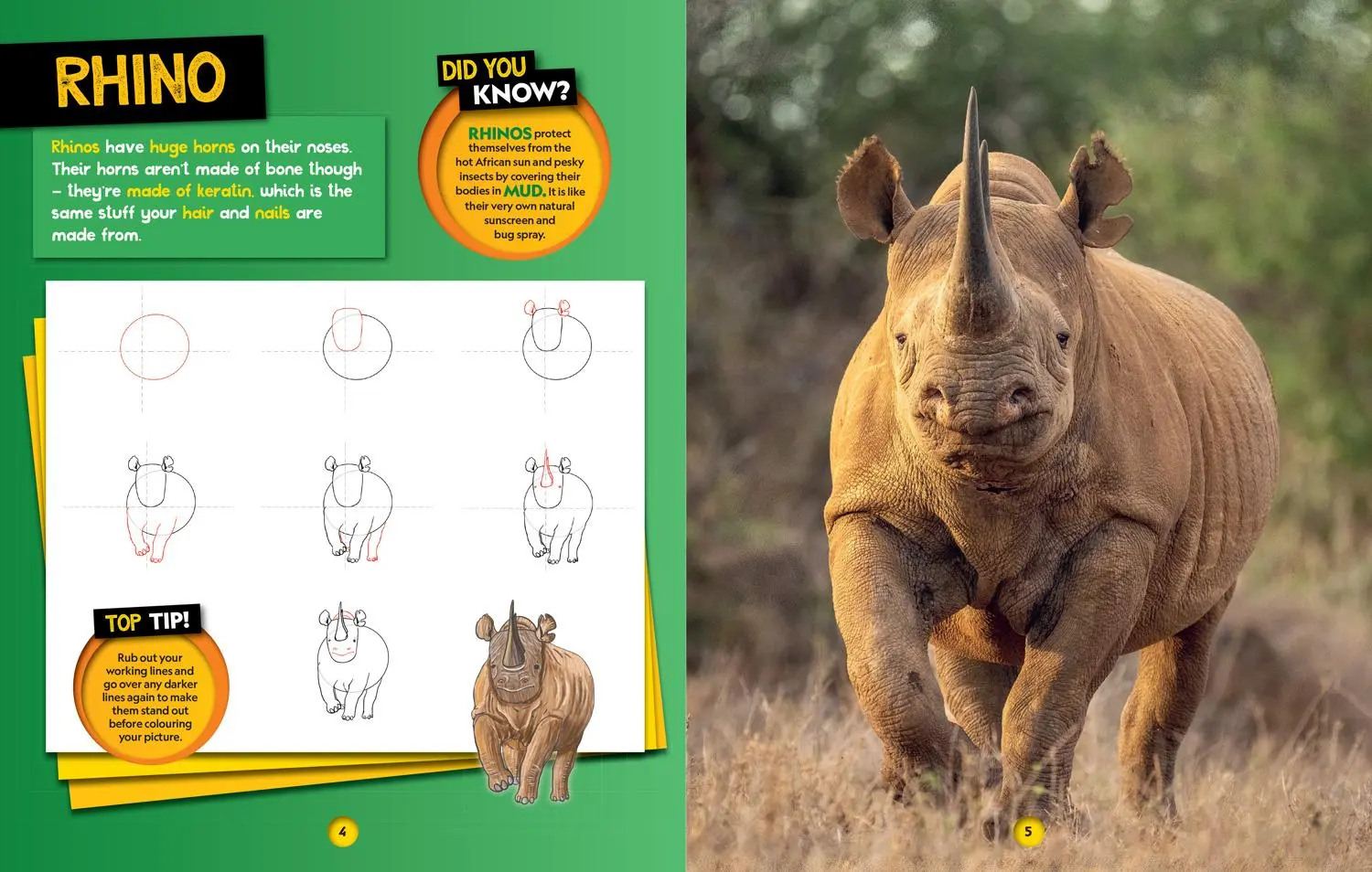 Bild: 9780008727901 | How to Draw Safari Animals | National Geographic Kids | Taschenbuch