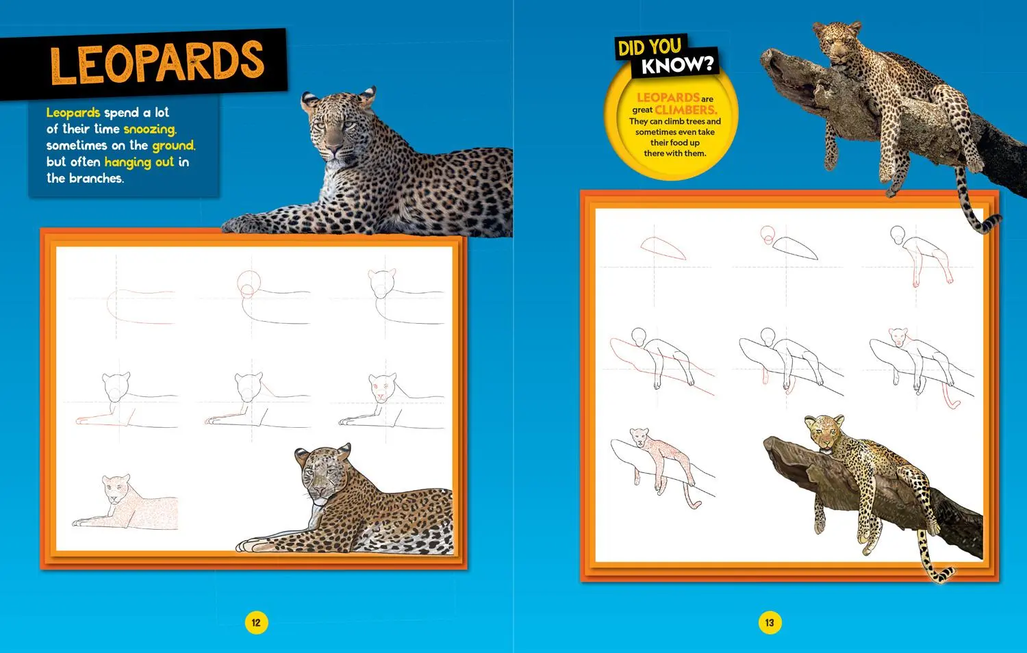 Bild: 9780008727901 | How to Draw Safari Animals | National Geographic Kids | Taschenbuch