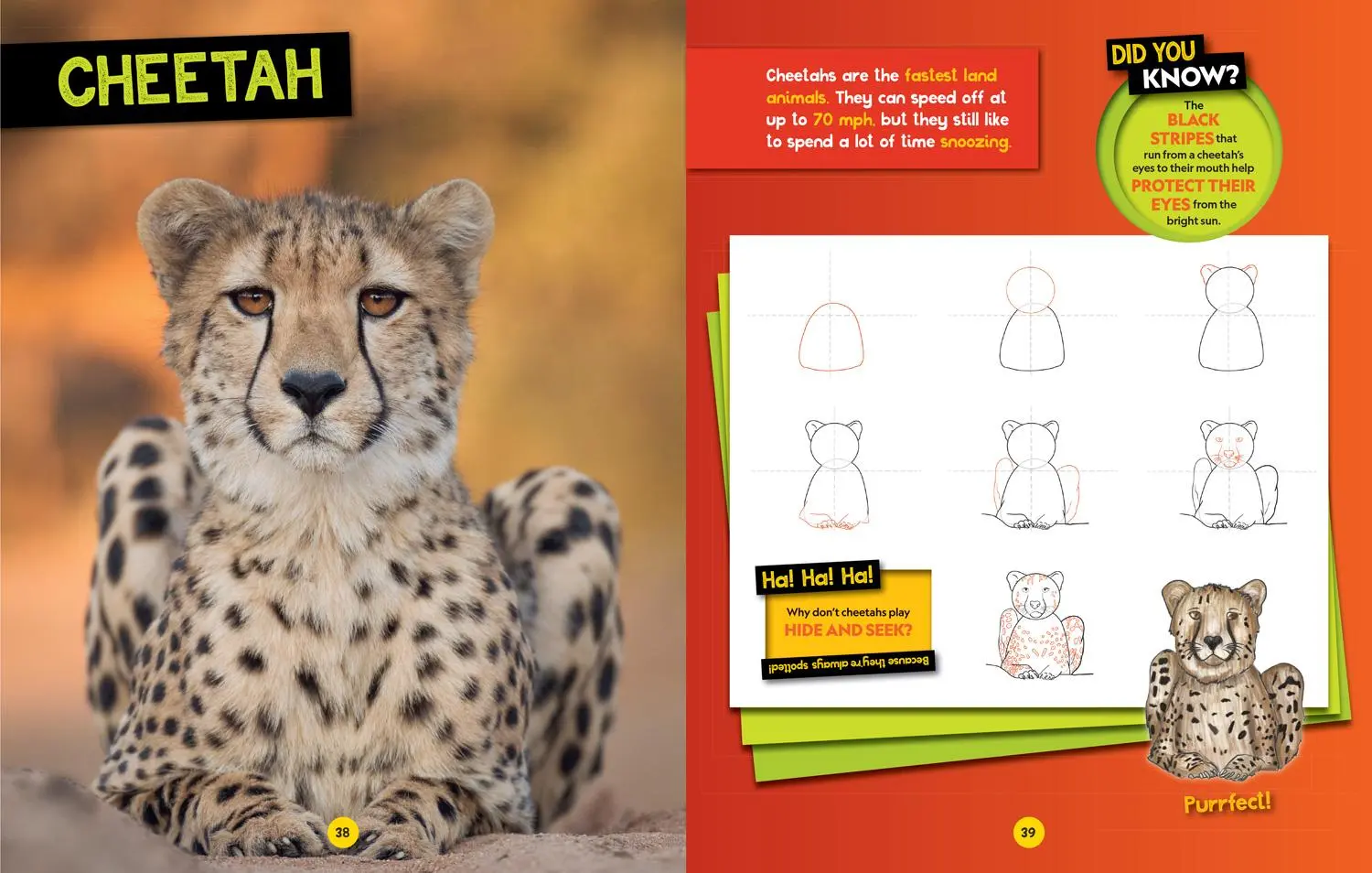 Bild: 9780008727901 | How to Draw Safari Animals | National Geographic Kids | Taschenbuch