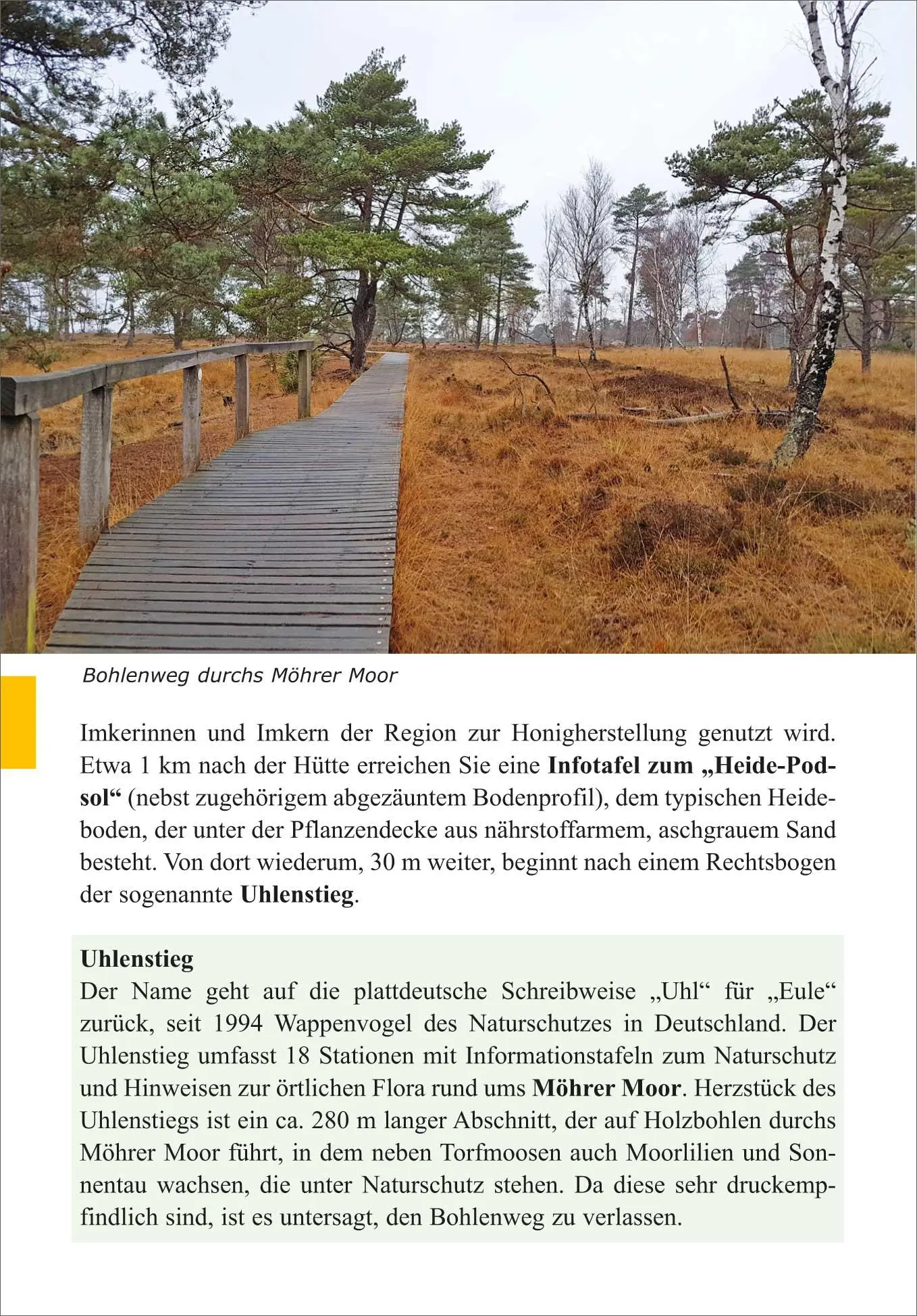 Bild: 9783866867901 | Freudenthalweg | von Hamburg-Harburg nach Verden | Lutz Granert | Buch