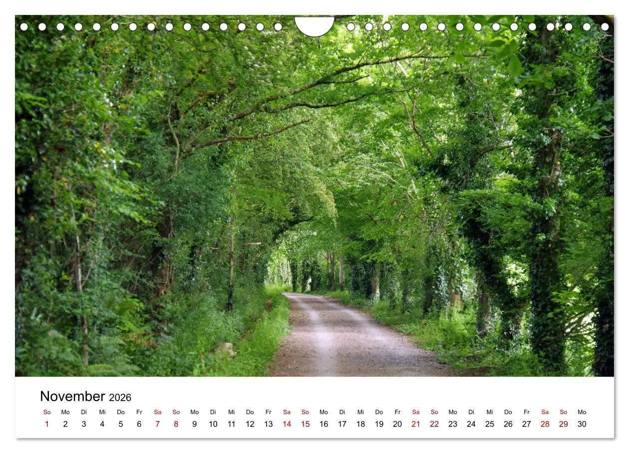 Bild: 9783457888001 | Cornwall und Wales (Wandkalender 2026 DIN A4 quer), CALVENDO...