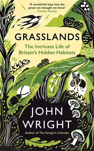 Cover: 9781781258101 | Grasslands | The Intricate Life of Britain's Hidden Habitats | Wright