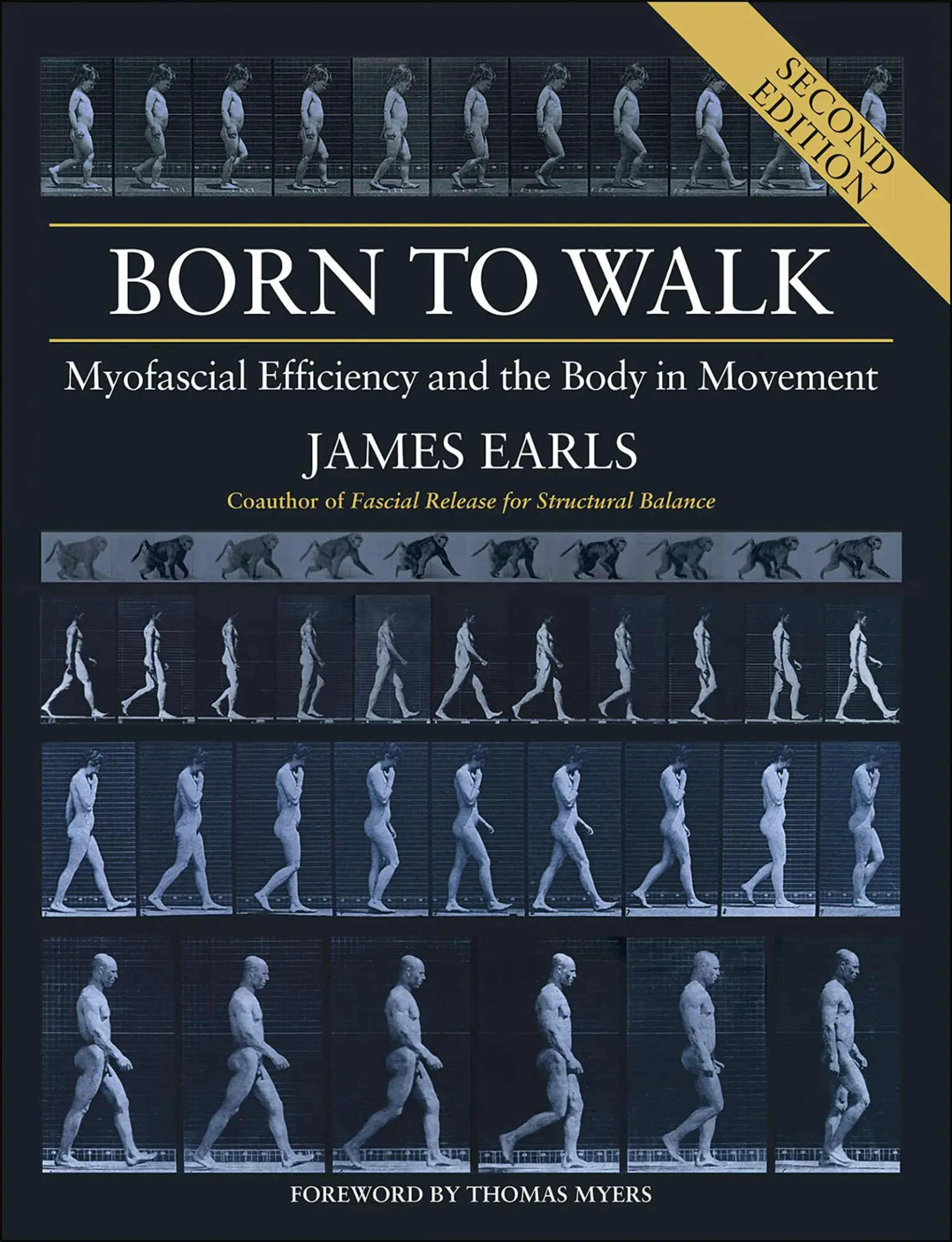 Cover: 9781913088101 | Born to Walk | Myofascial Efficiency and the Body in Movement | Earls