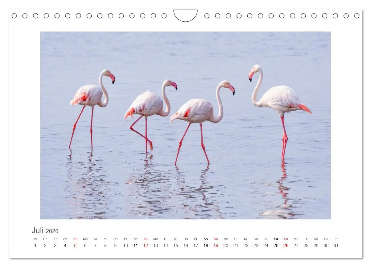 Bild: 9783457638101 | Namibia - unterwegs mit Julia Hahn (Wandkalender 2026 DIN A4 quer),...