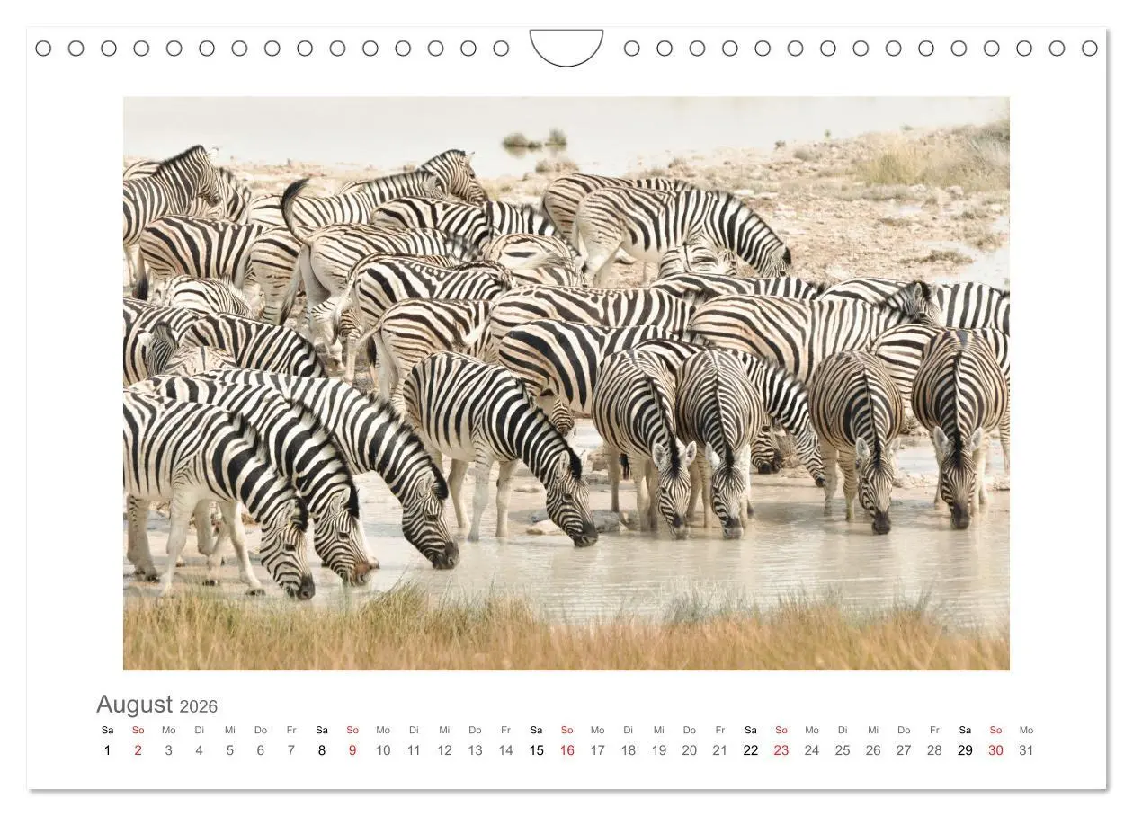 Bild: 9783457638101 | Namibia - unterwegs mit Julia Hahn (Wandkalender 2026 DIN A4 quer),...