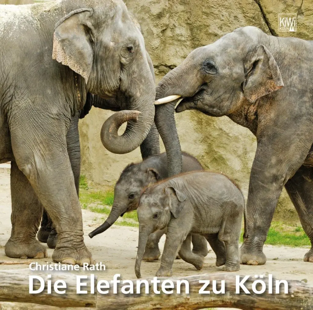 Cover: 9783462038101 | Die Elefanten zu Köln | Christiane Rath | Buch | 96 S. | Deutsch