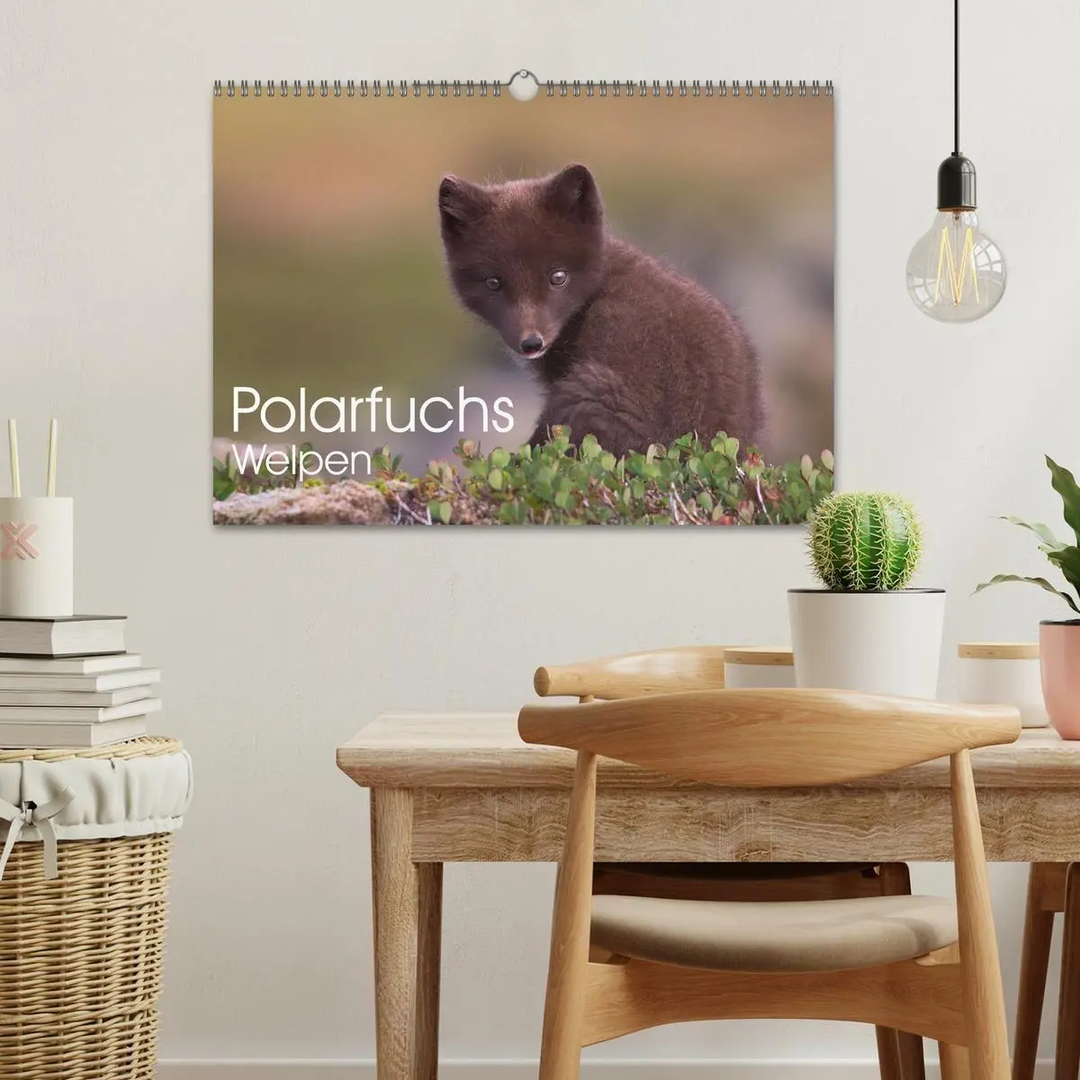 Bild: 9783516658101 | Polarfuchs-Welpen (Wandkalender 2026 DIN A3 quer), CALVENDO...
