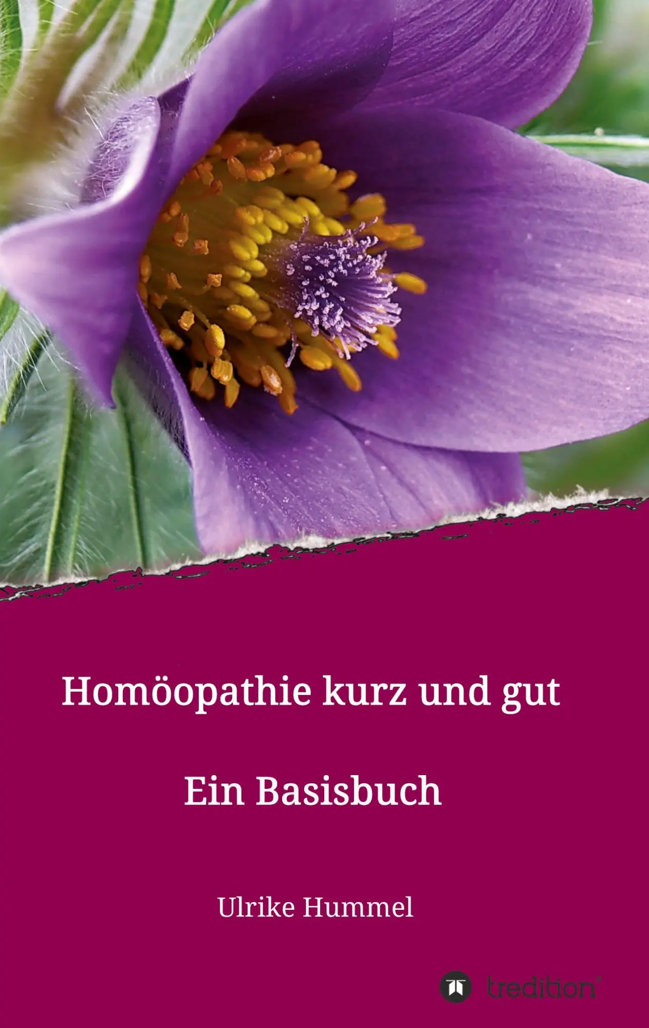 Cover: 9783347118201 | Homöopathie kurz und gut | Ein Basisbuch | Ulrike Hummel | Taschenbuch