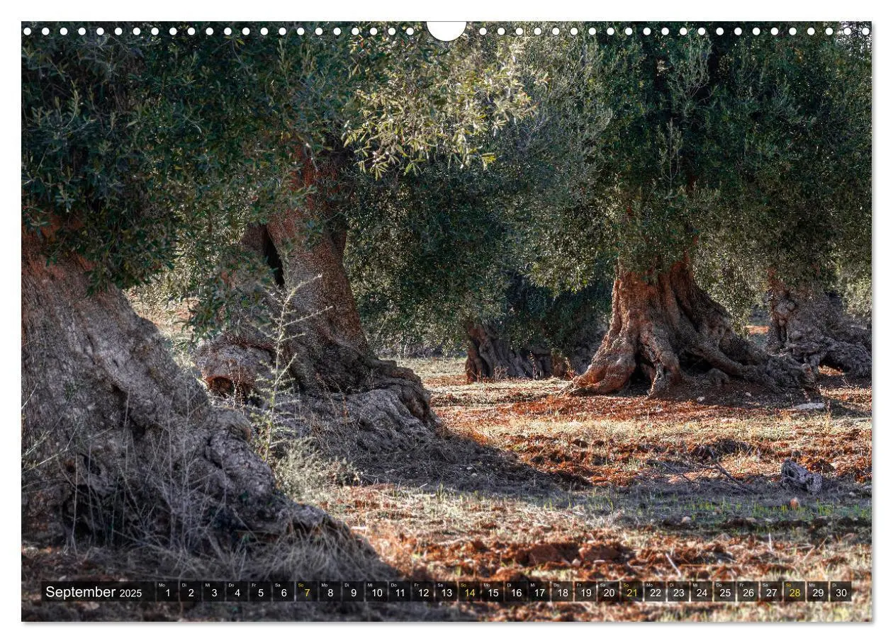 Bild: 9783383998201 | Apulien - Impressionen vom Südosten Italiens (Wandkalender 2025 DIN...