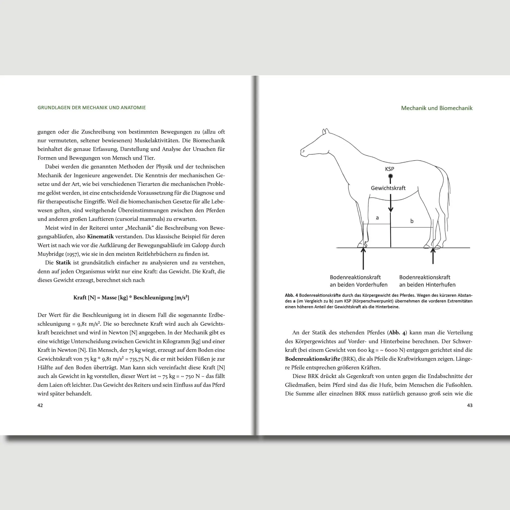 Bild: 9783758208201 | Preuschofts Pferdekompendium | Holger Preuschoft | Taschenbuch | 2025