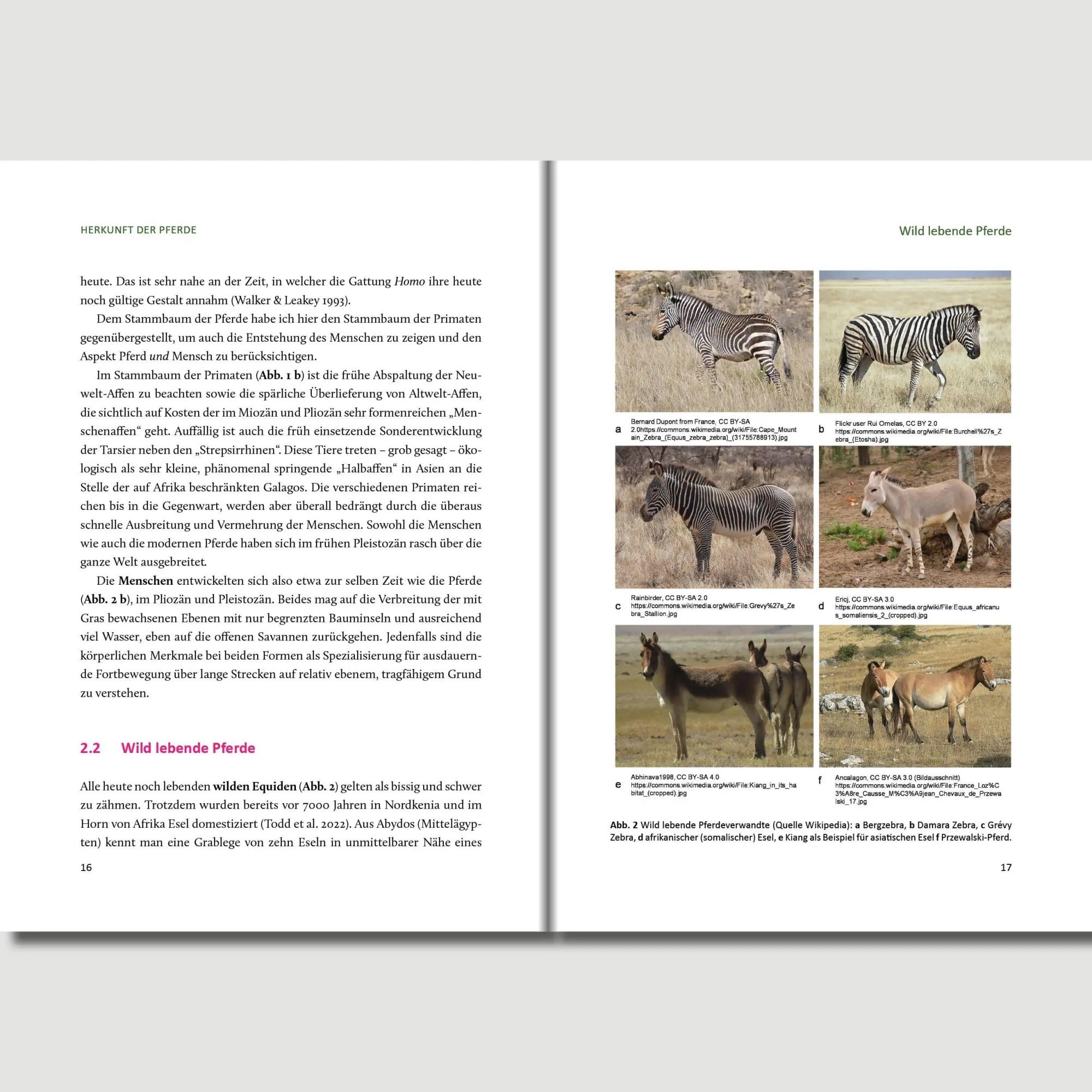Bild: 9783758208201 | Preuschofts Pferdekompendium | Holger Preuschoft | Taschenbuch | 2025