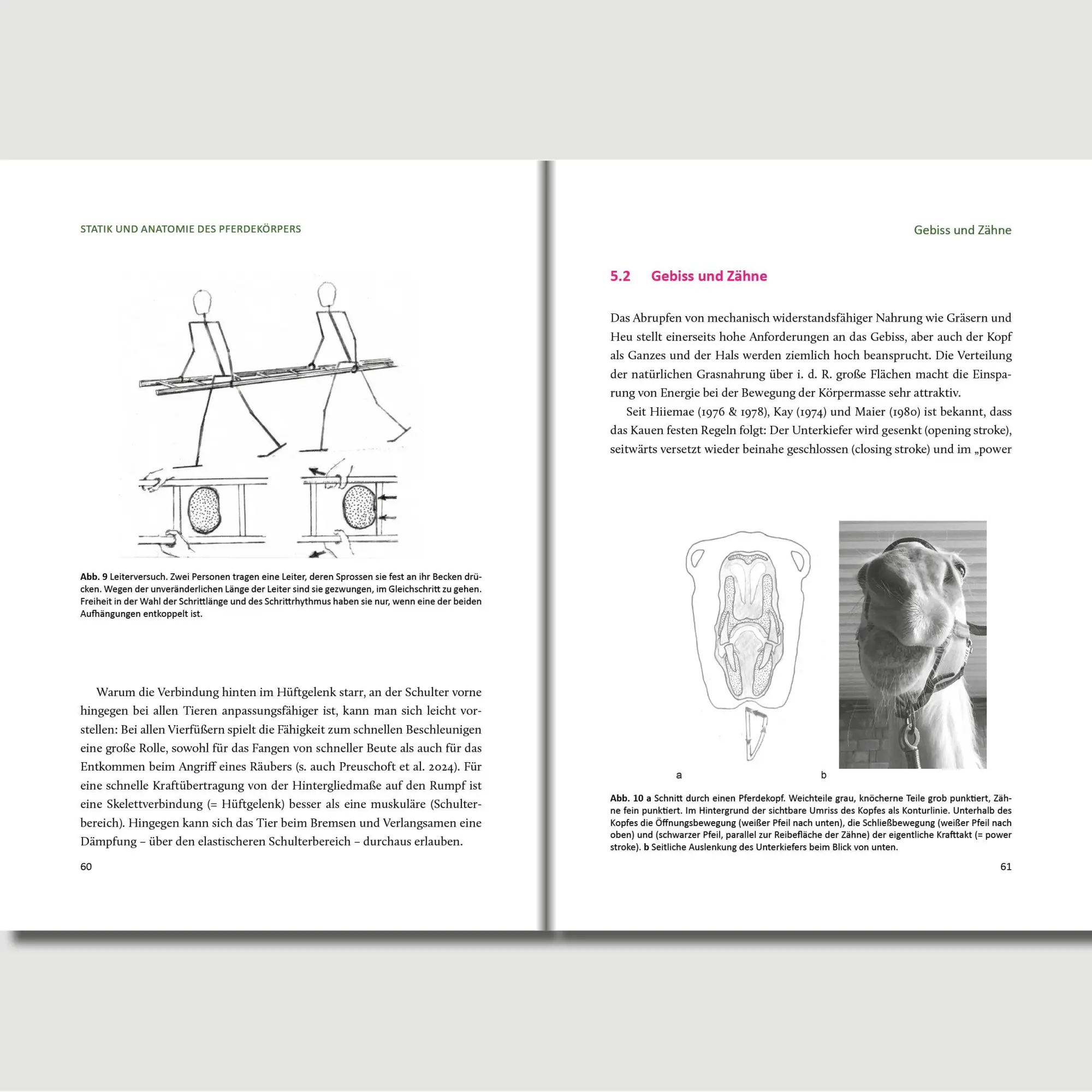 Bild: 9783758208201 | Preuschofts Pferdekompendium | Holger Preuschoft | Taschenbuch | 2025