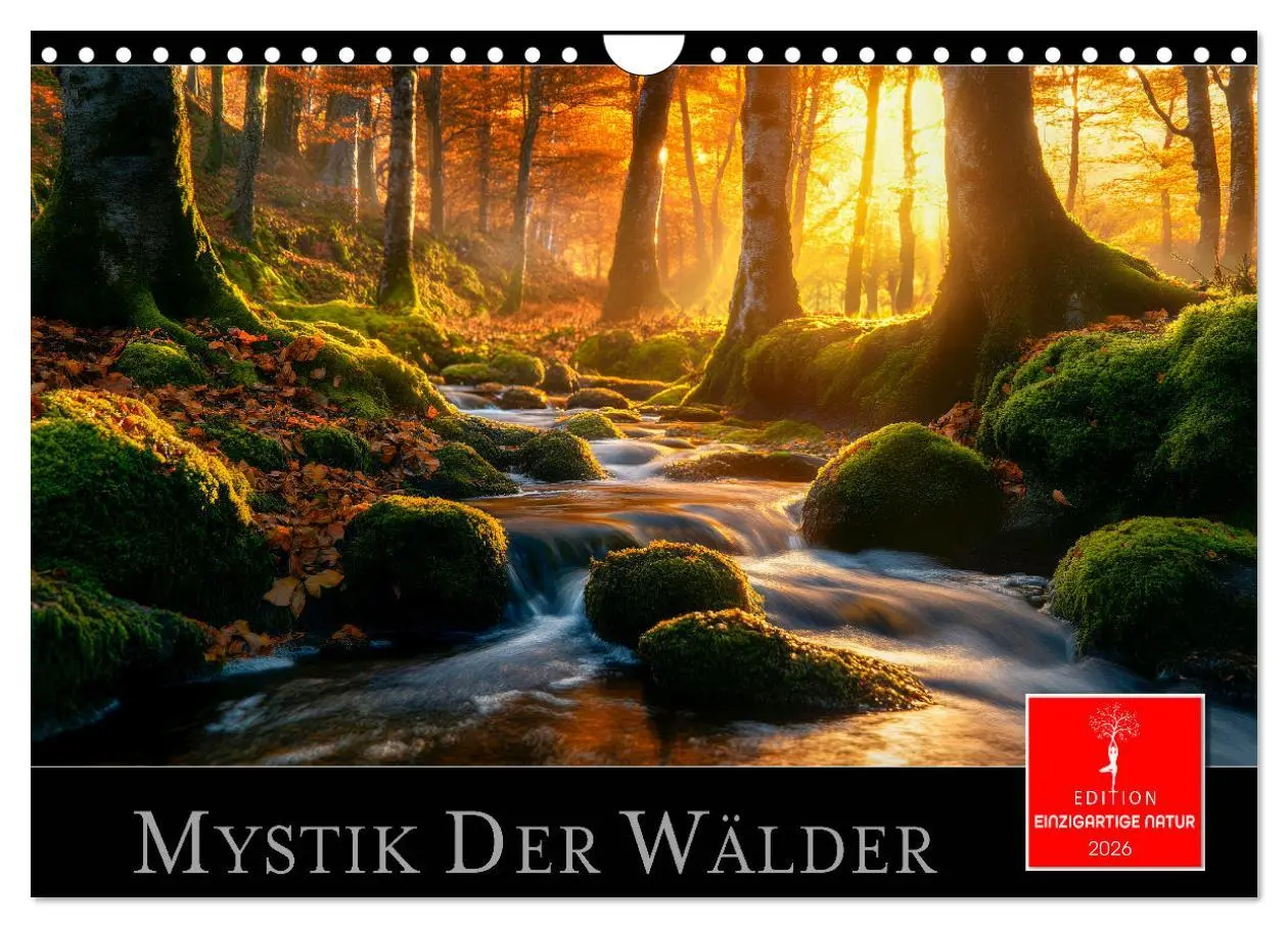 Cover: 9783457308301 | Mystik der Wälder (Wandkalender 2026 DIN A4 quer), CALVENDO...