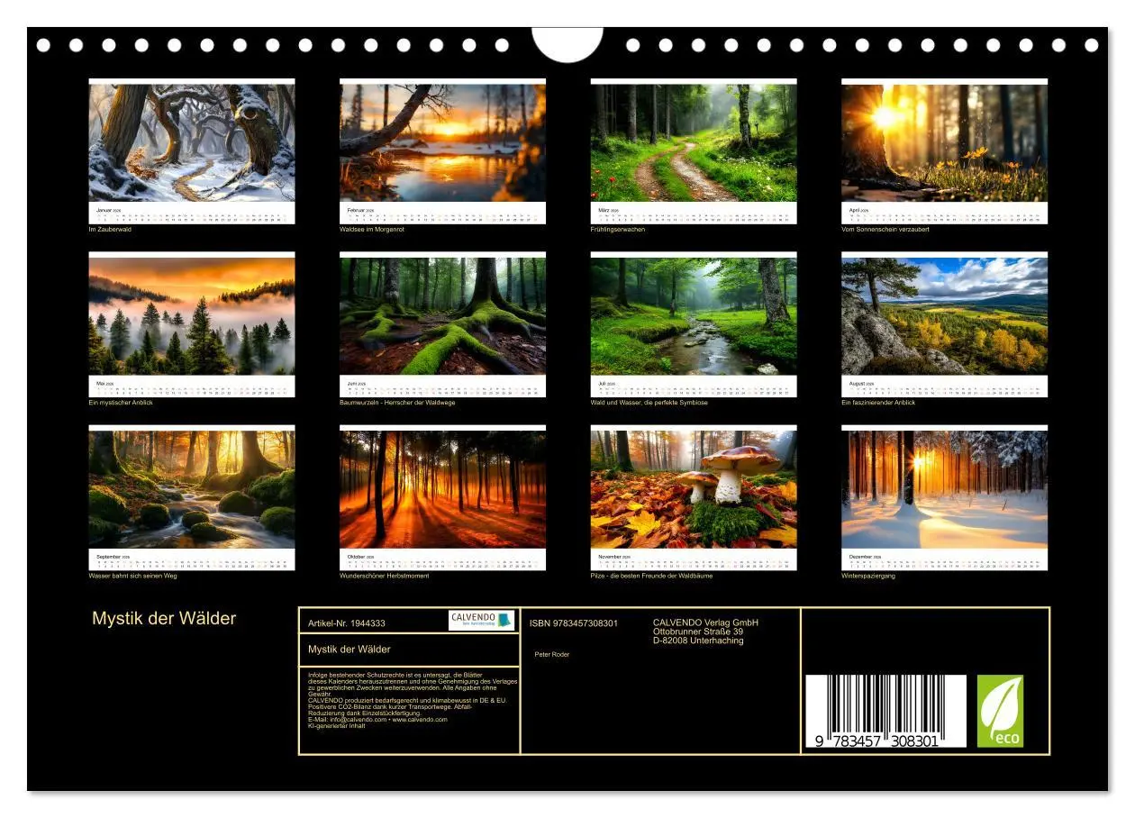Bild: 9783457308301 | Mystik der Wälder (Wandkalender 2026 DIN A4 quer), CALVENDO...