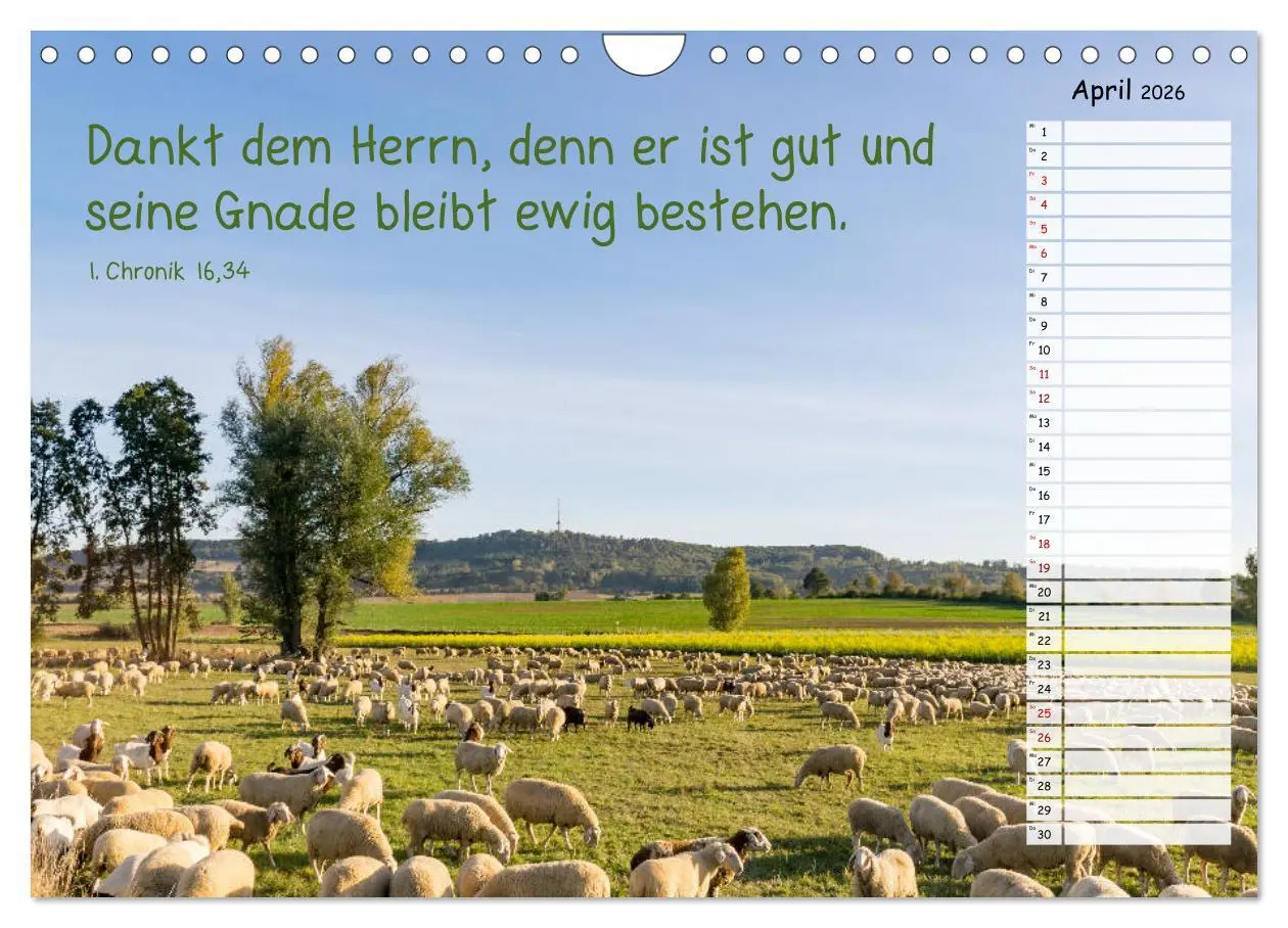 Bild: 9783457928301 | Heimat Hesselberg (Wandkalender 2026 DIN A4 quer), CALVENDO...