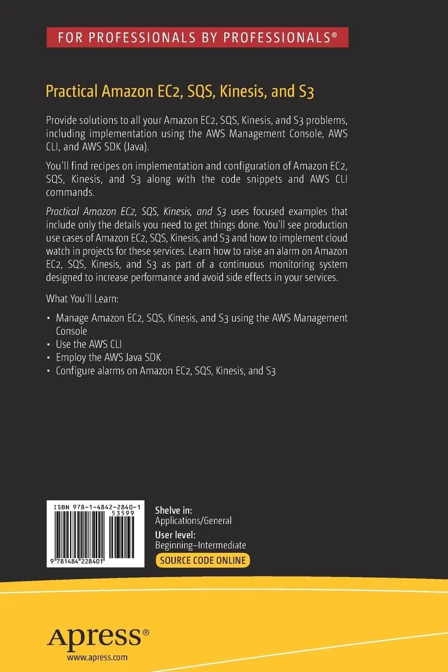 Rückseite: 9781484228401 | Practical Amazon EC2, SQS, Kinesis, and S3 | Sunil Gulabani | Buch