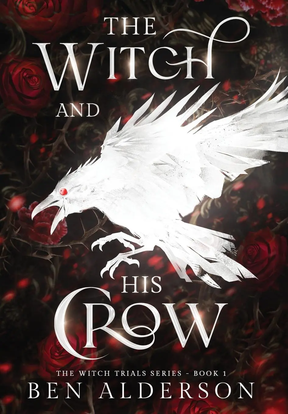 Cover: 9781068658501 | The Witch and His Crow | Ben Alderson | Buch | Englisch | 2025