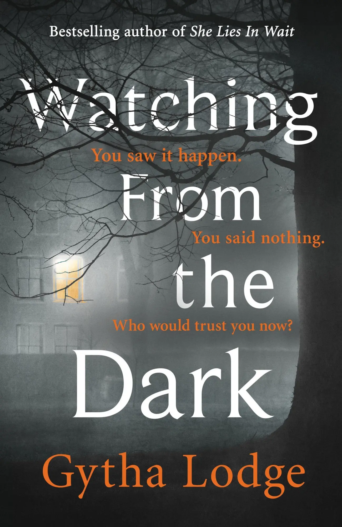 Cover: 9781405938501 | Watching from the Dark | Gytha Lodge | Taschenbuch | 416 S. | Englisch