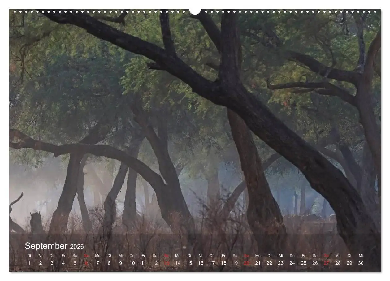 Bild: 9783516168501 | Zimbabwe (Wandkalender 2026 DIN A2 quer), CALVENDO Monatskalender