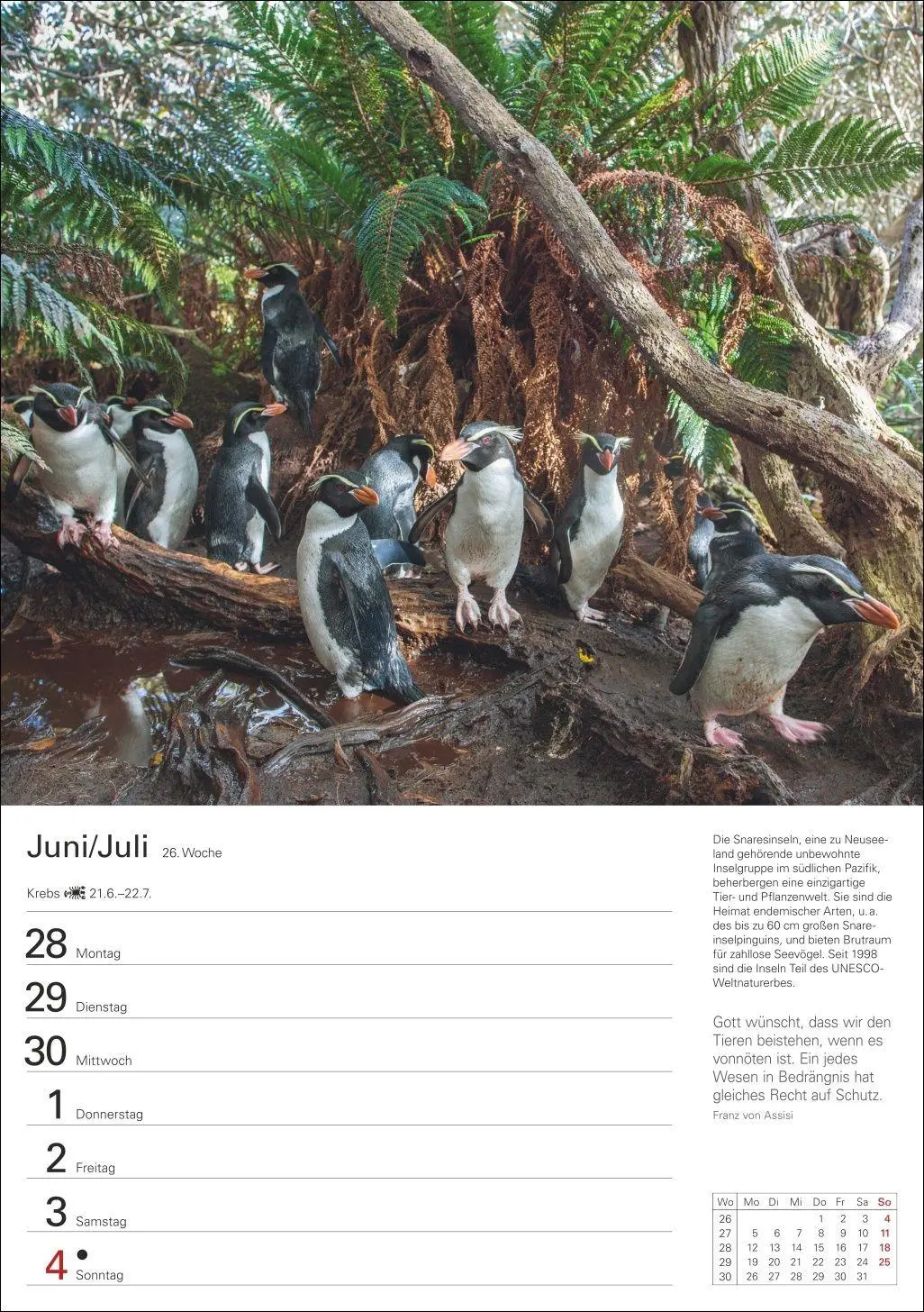 Bild: 9783840038501 | Wunder der Natur Wochenplaner 2027 - 53 faszinierende Fotografien