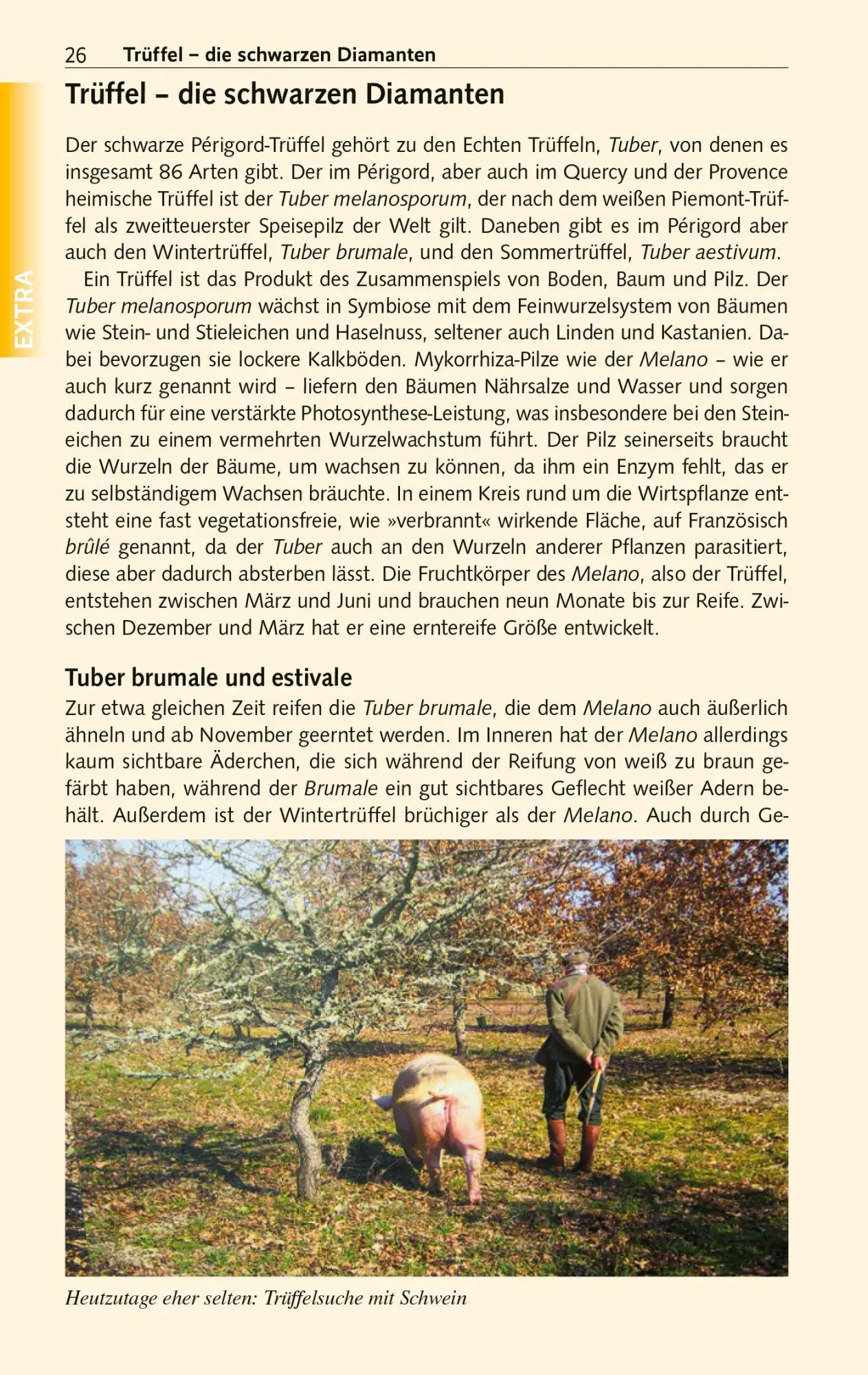Bild: 9783897948501 | TRESCHER Reiseführer Périgord | Heike Bentheimer | Taschenbuch | 2026