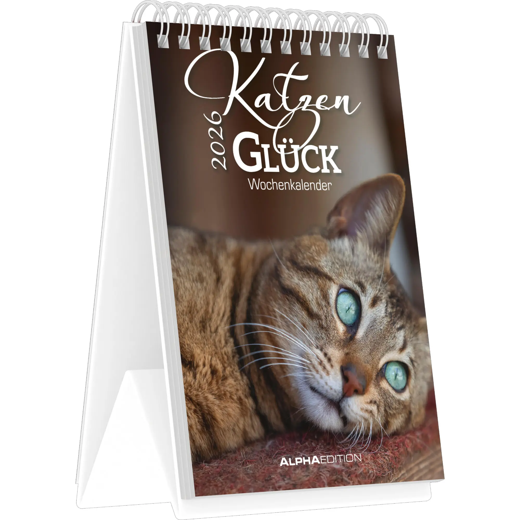 Cover: 4069095008601 | Katzenglück - Tischaufstellkalender mit 53 Motiven und Sprüchen im...