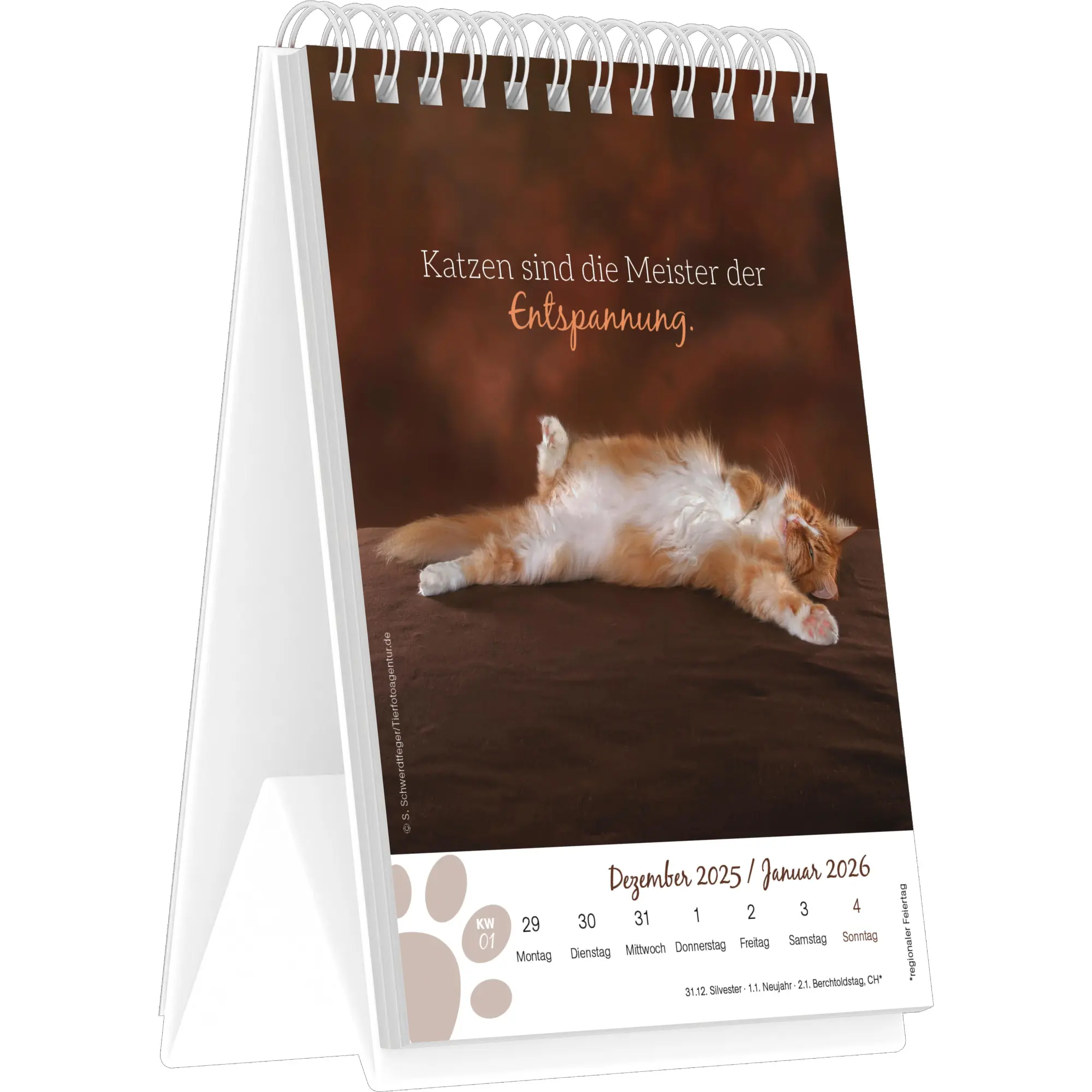 Bild: 4069095008601 | Katzenglück - Tischaufstellkalender mit 53 Motiven und Sprüchen im...