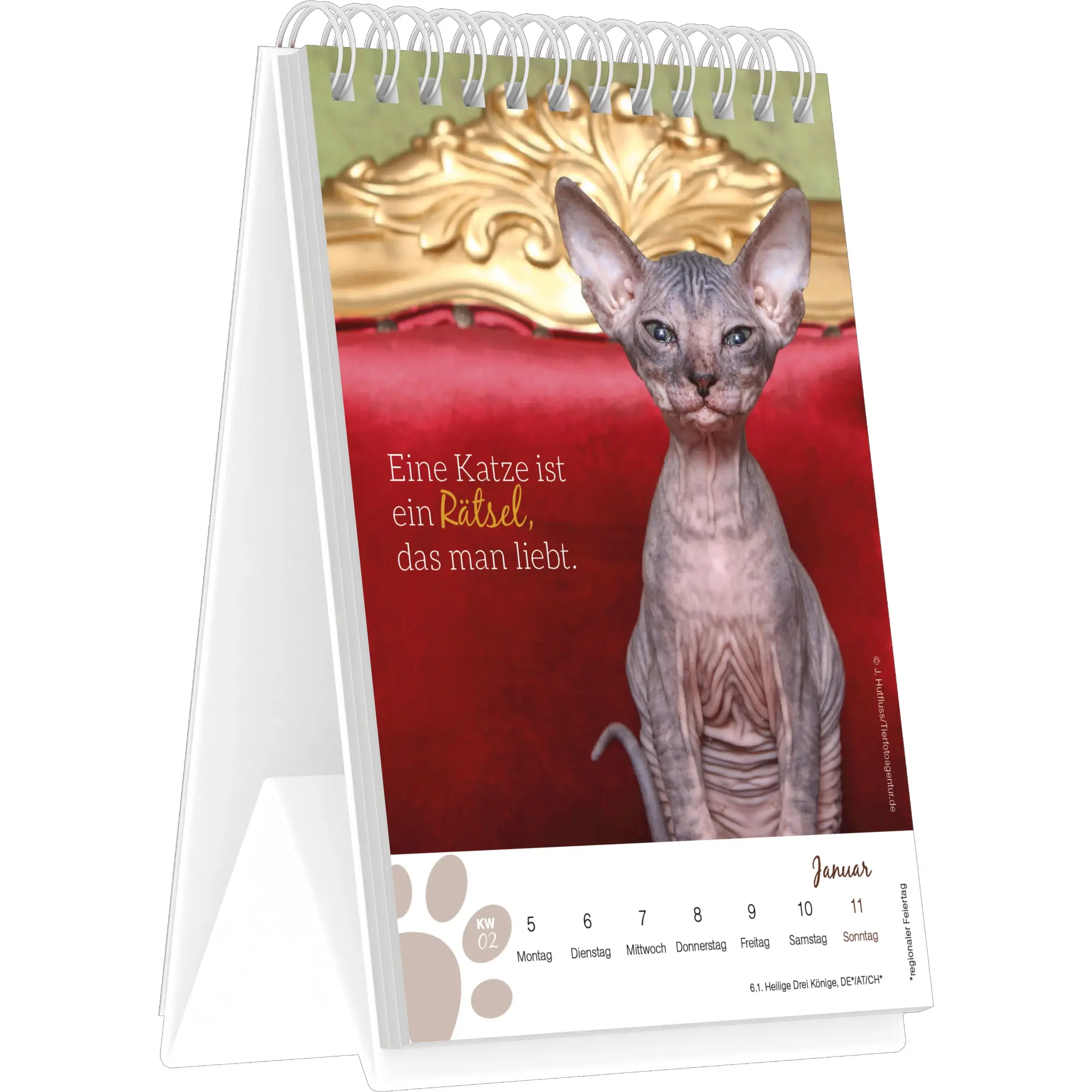Bild: 4069095008601 | Katzenglück - Tischaufstellkalender mit 53 Motiven und Sprüchen im...