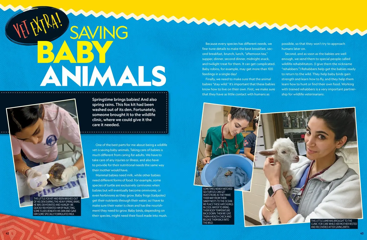 Bild: 9781426338601 | Wild Vet Adventures | Gabby Wild | Buch | Einband - fest (Hardcover)