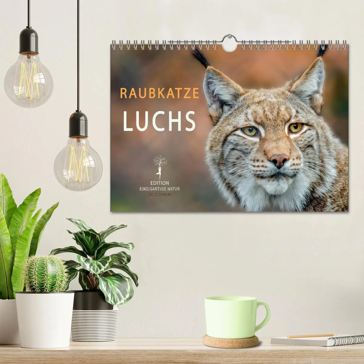 Bild: 9783435118601 | Raubkatze Luchs (Wandkalender 2025 DIN A4 quer), CALVENDO...